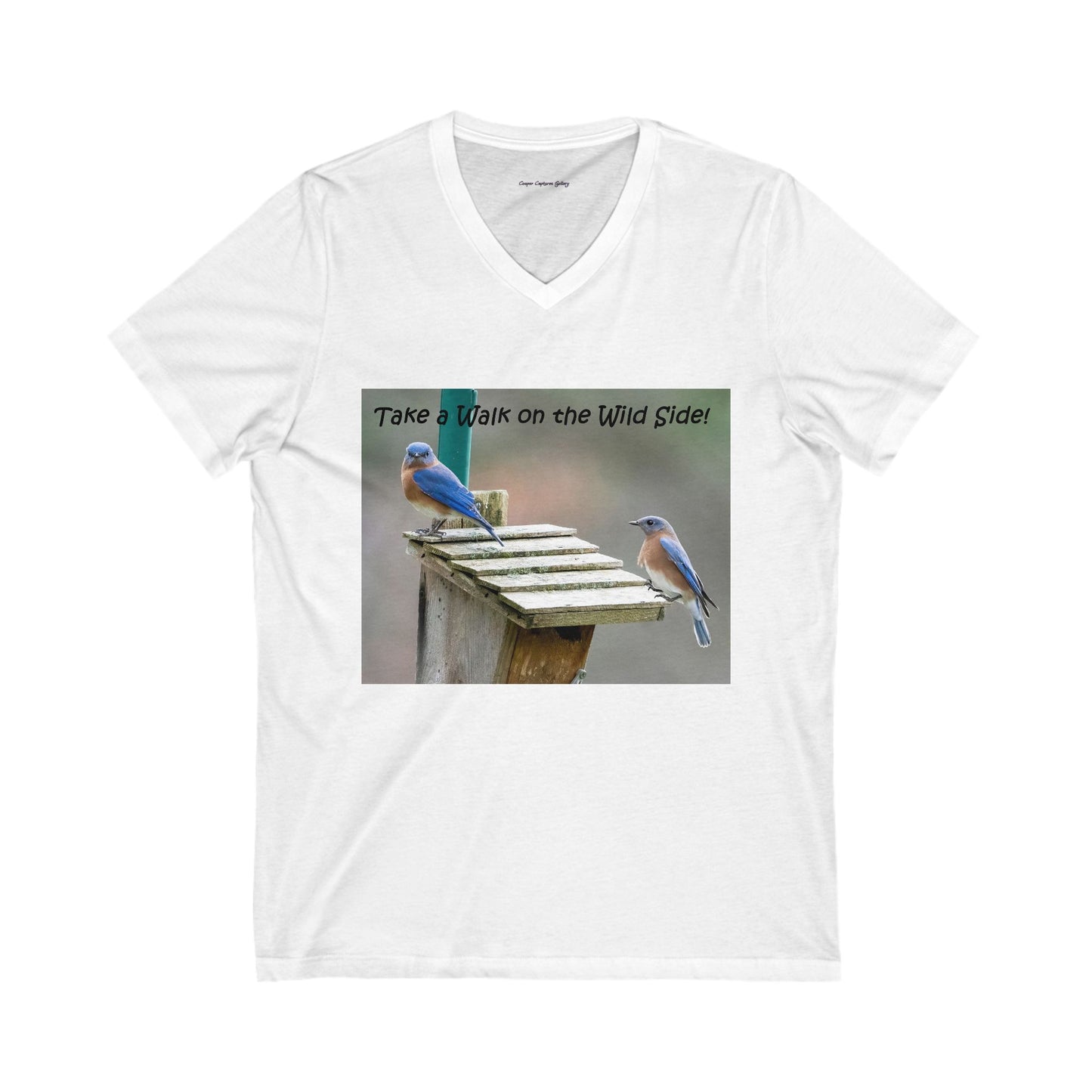 Bluebirds looking at real estate - V-Neck Tee-shirt