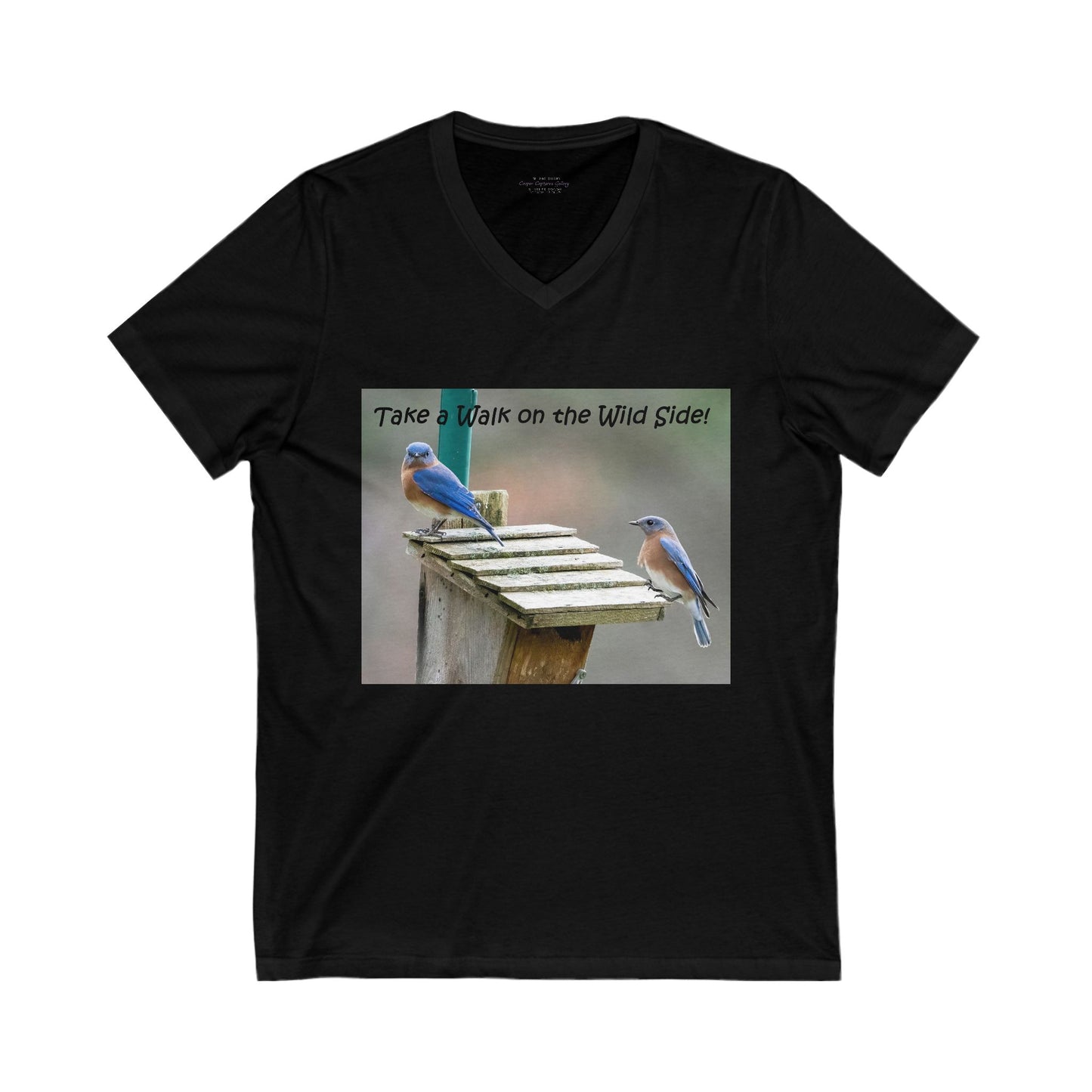 Bluebirds looking at real estate - V-Neck Tee-shirt