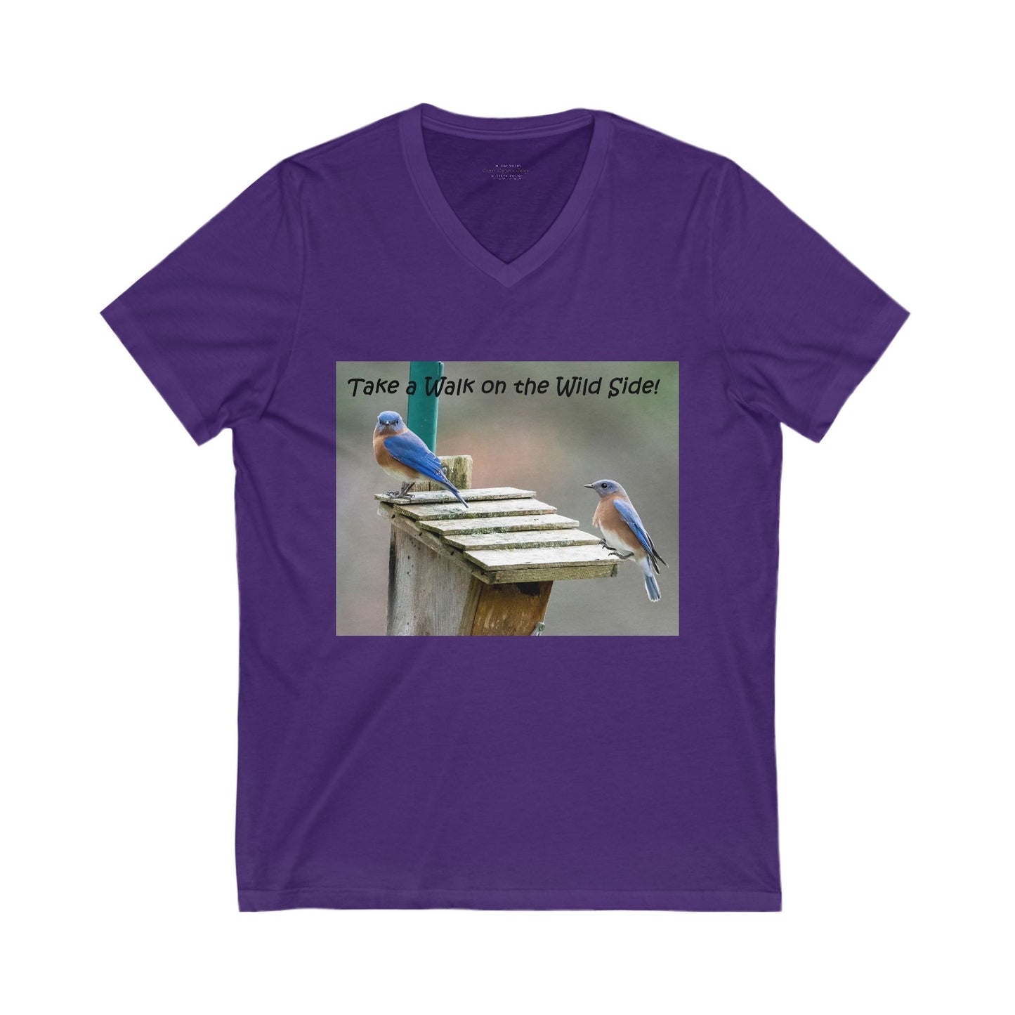Bluebirds looking at real estate - V-Neck Tee-shirt