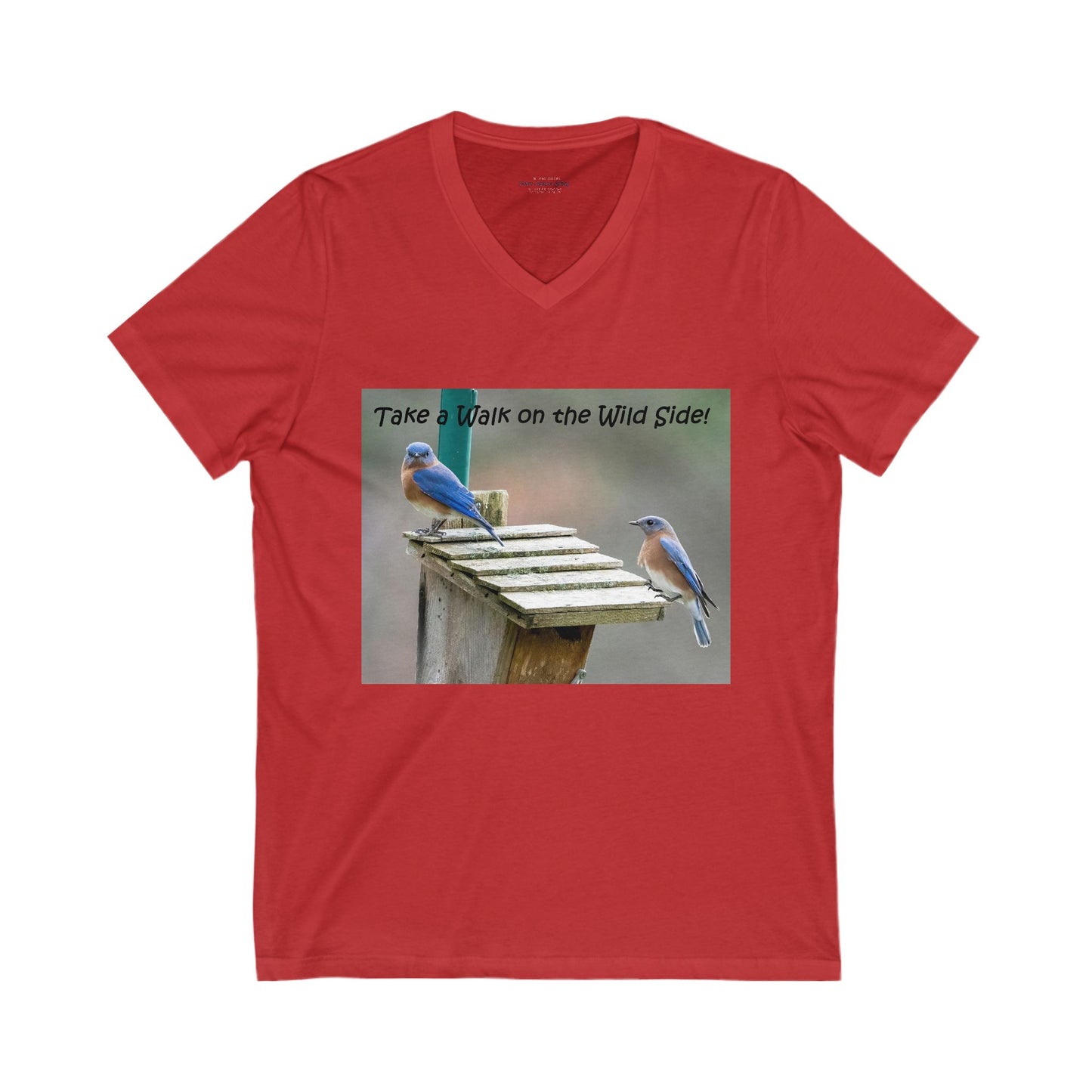 Bluebirds looking at real estate - V-Neck Tee-shirt