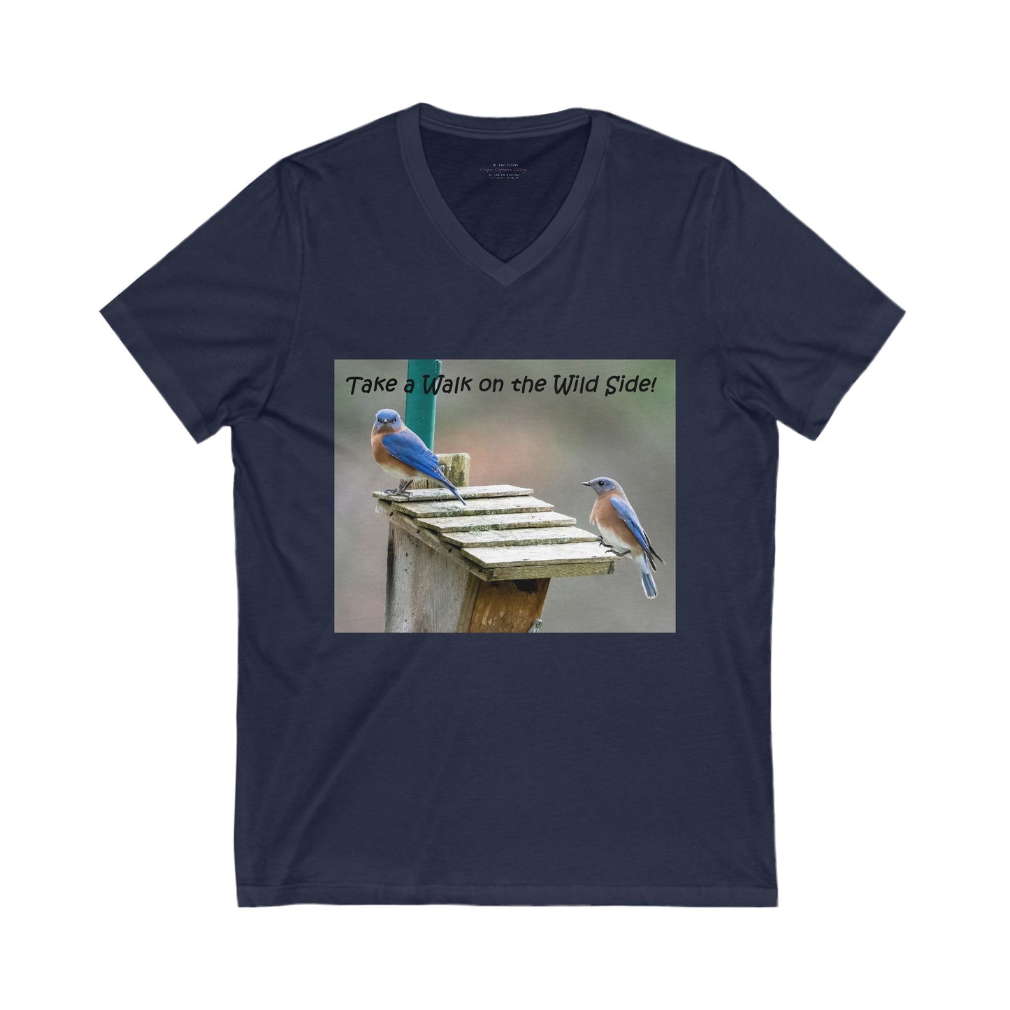Bluebirds looking at real estate - V-Neck Tee-shirt