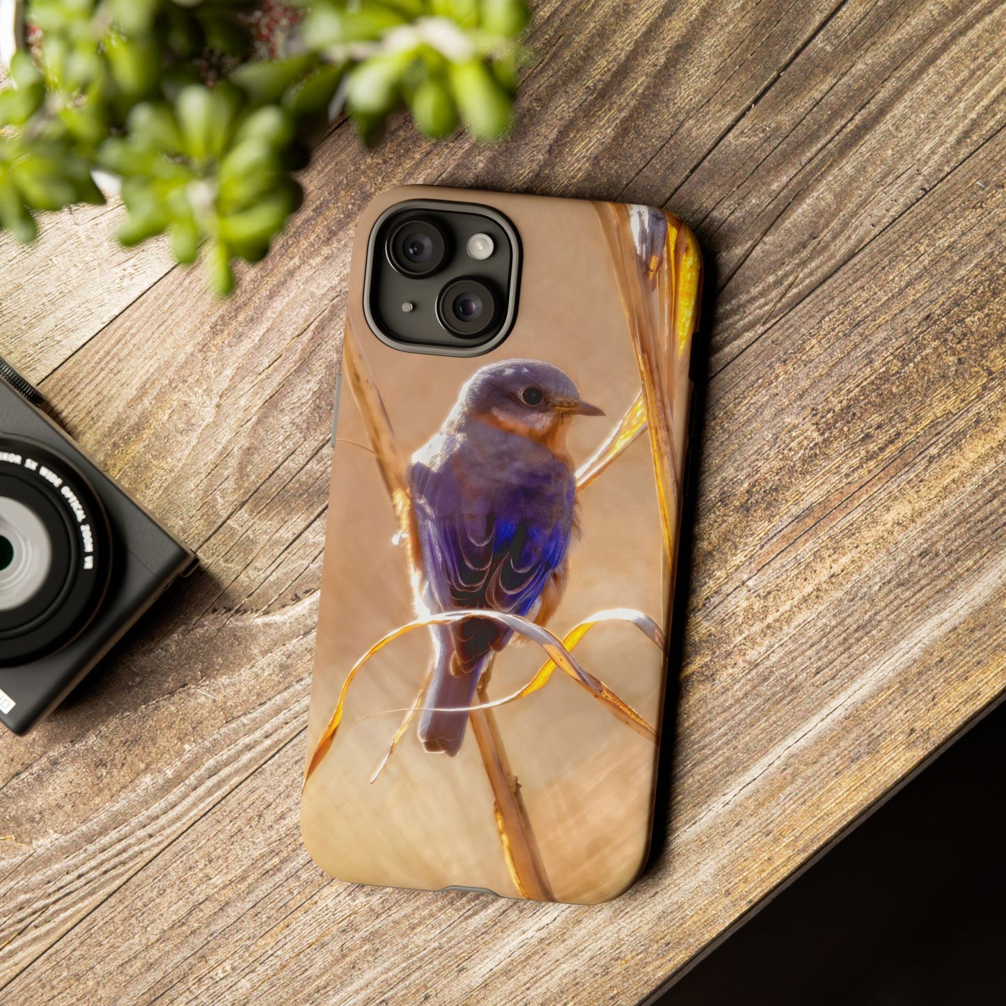 Eastern Bluebird - Tough Phone Case