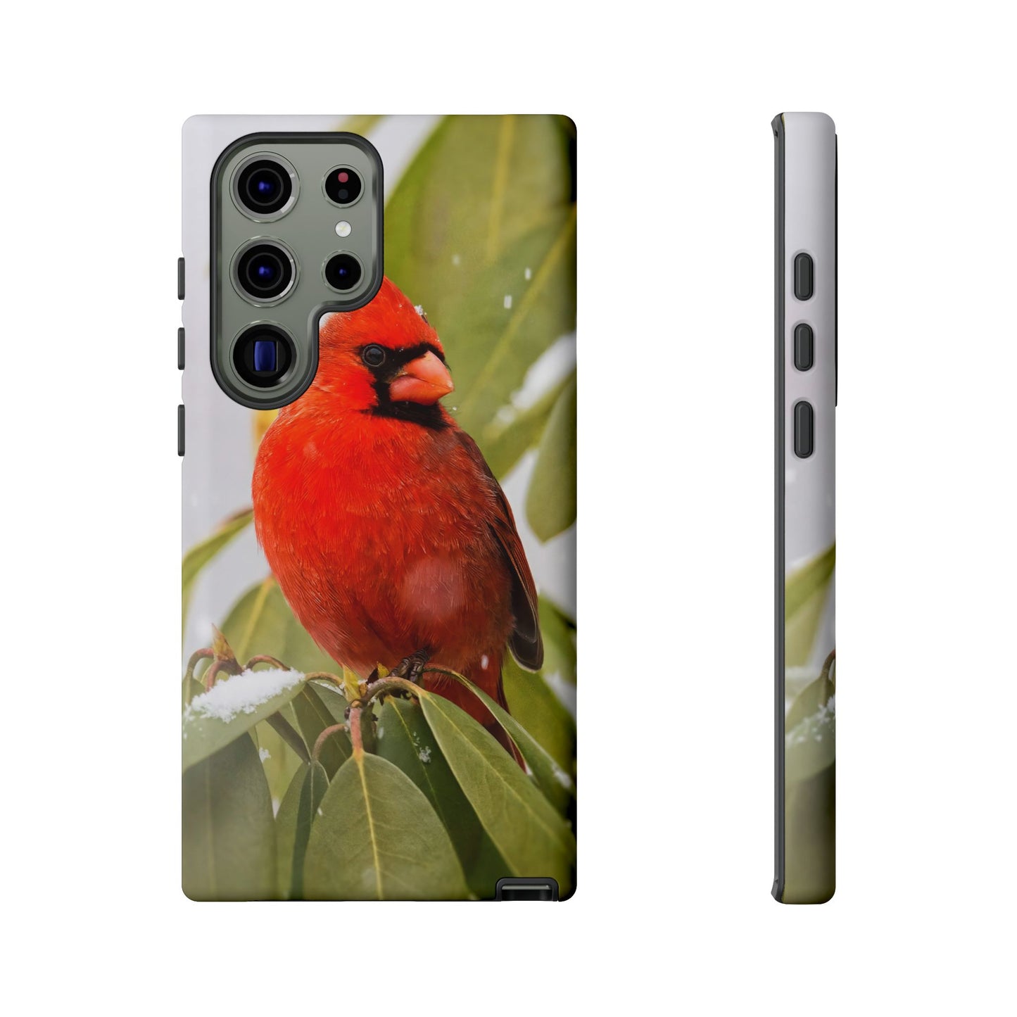 Male Cardinal - Tough Phone Case