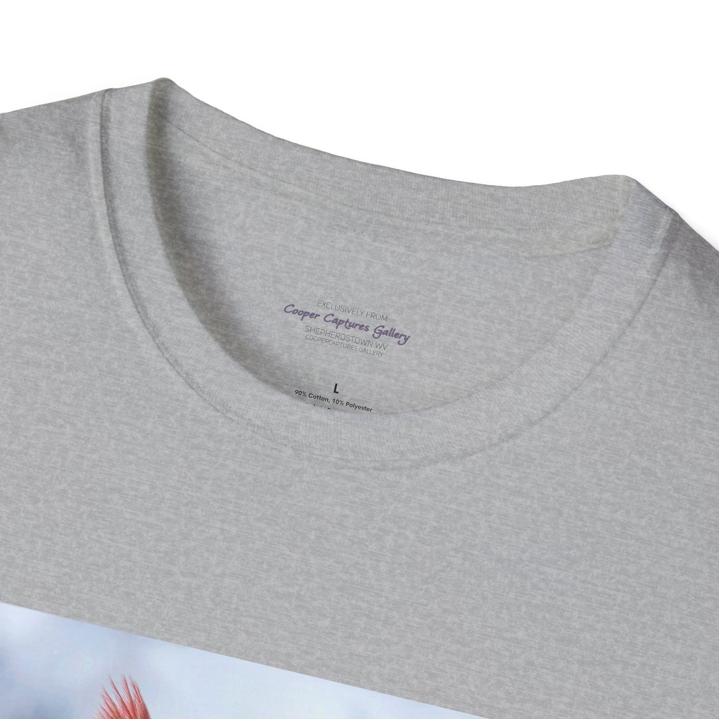 Cardinal Pair's "Snowy Chat" - T-shirt