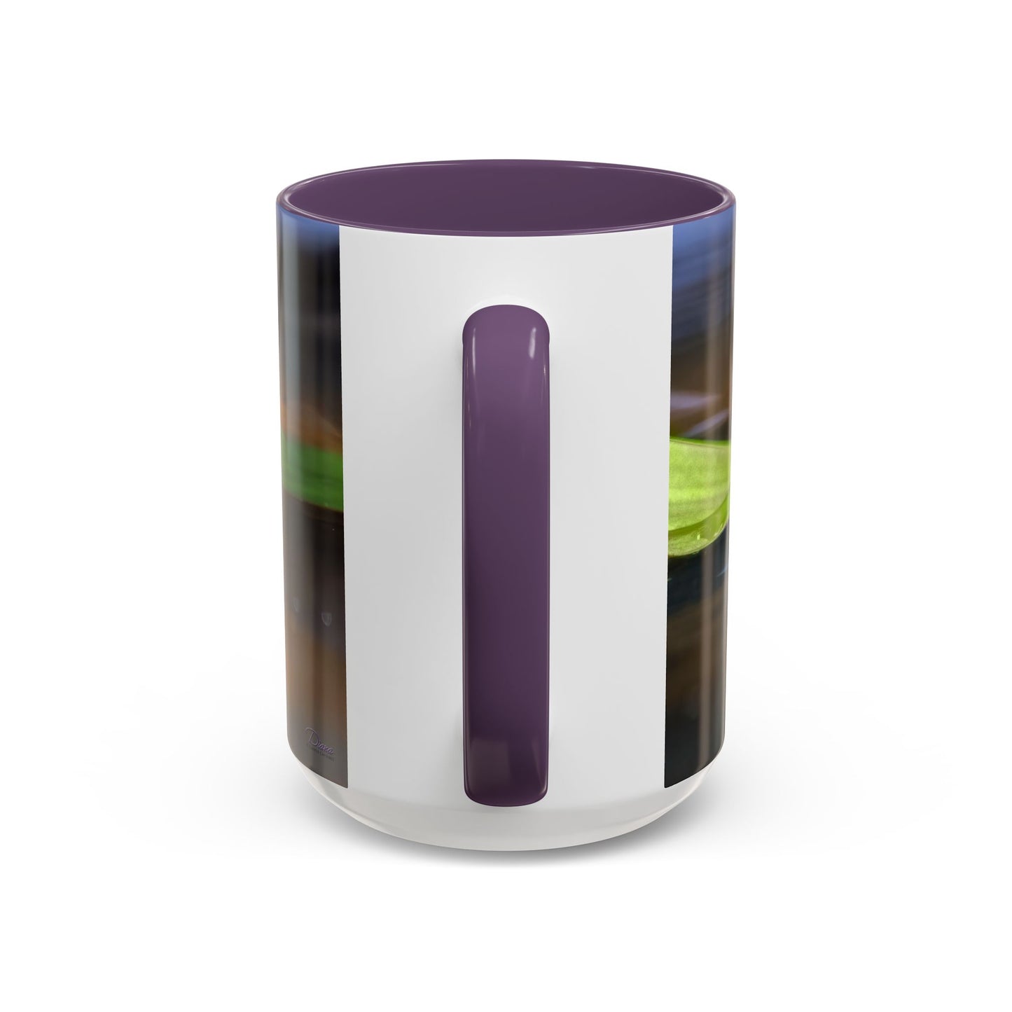 Red-Eyed Tree Frog - Variable color interior mug