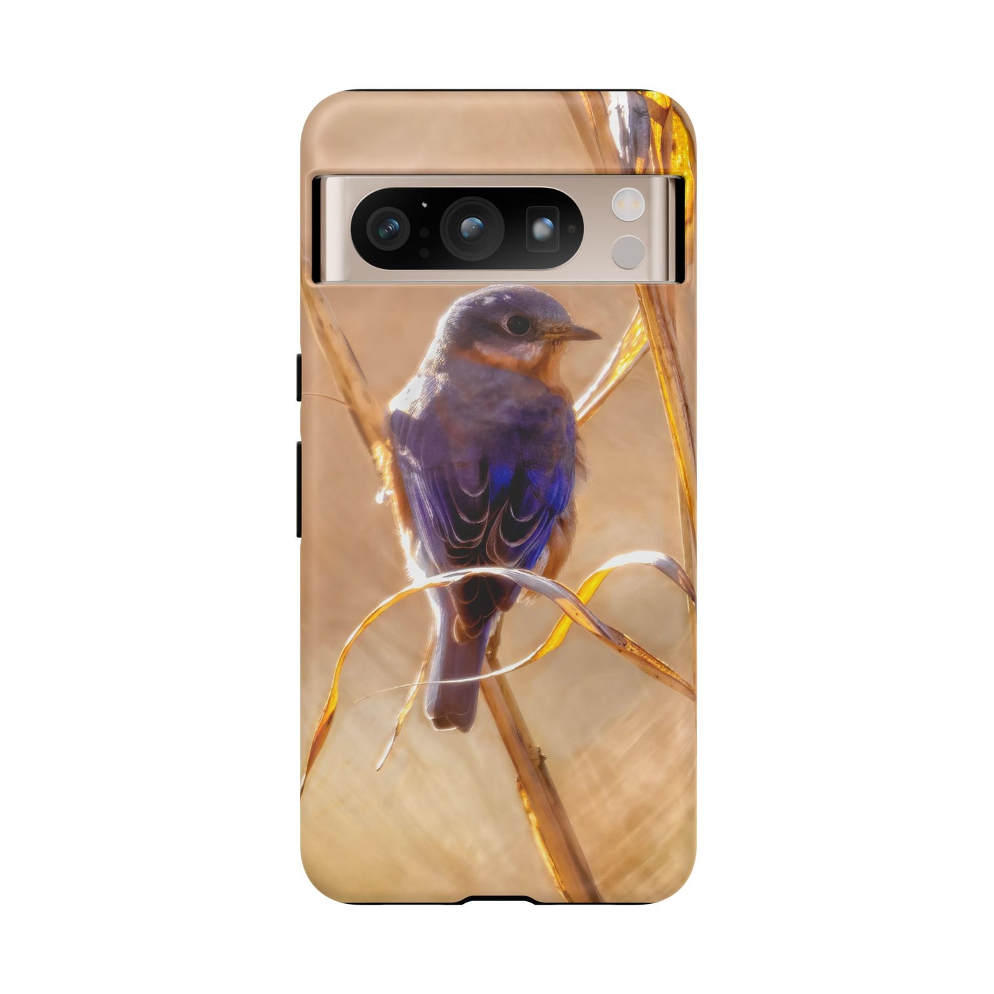 Eastern Bluebird - Tough Phone Case