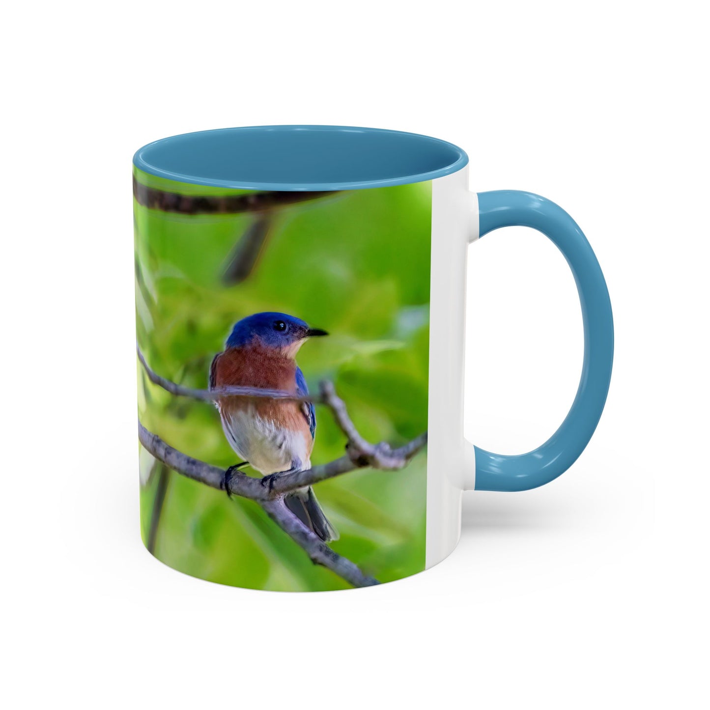 Bluebird pair - Variable color interior mug