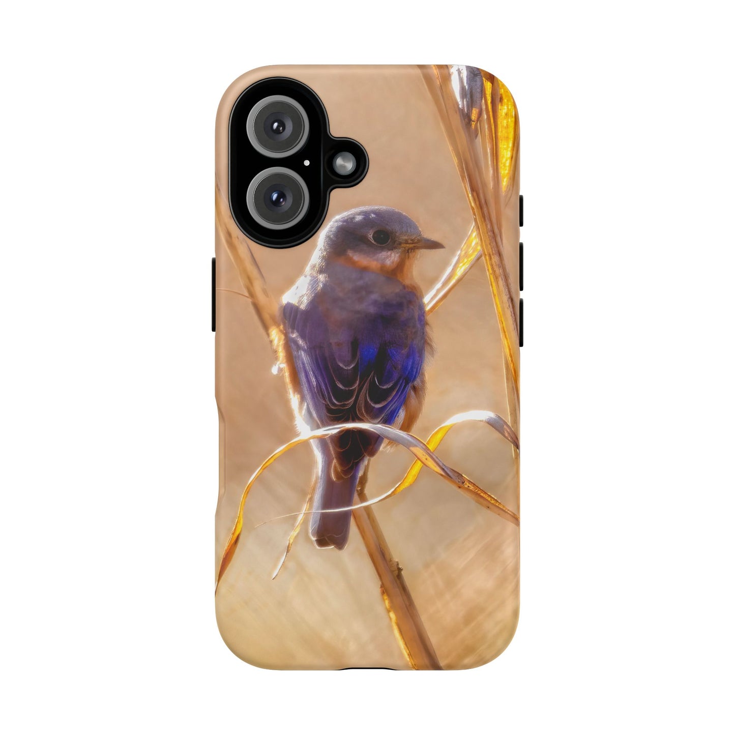 Eastern Bluebird - Tough Phone Case