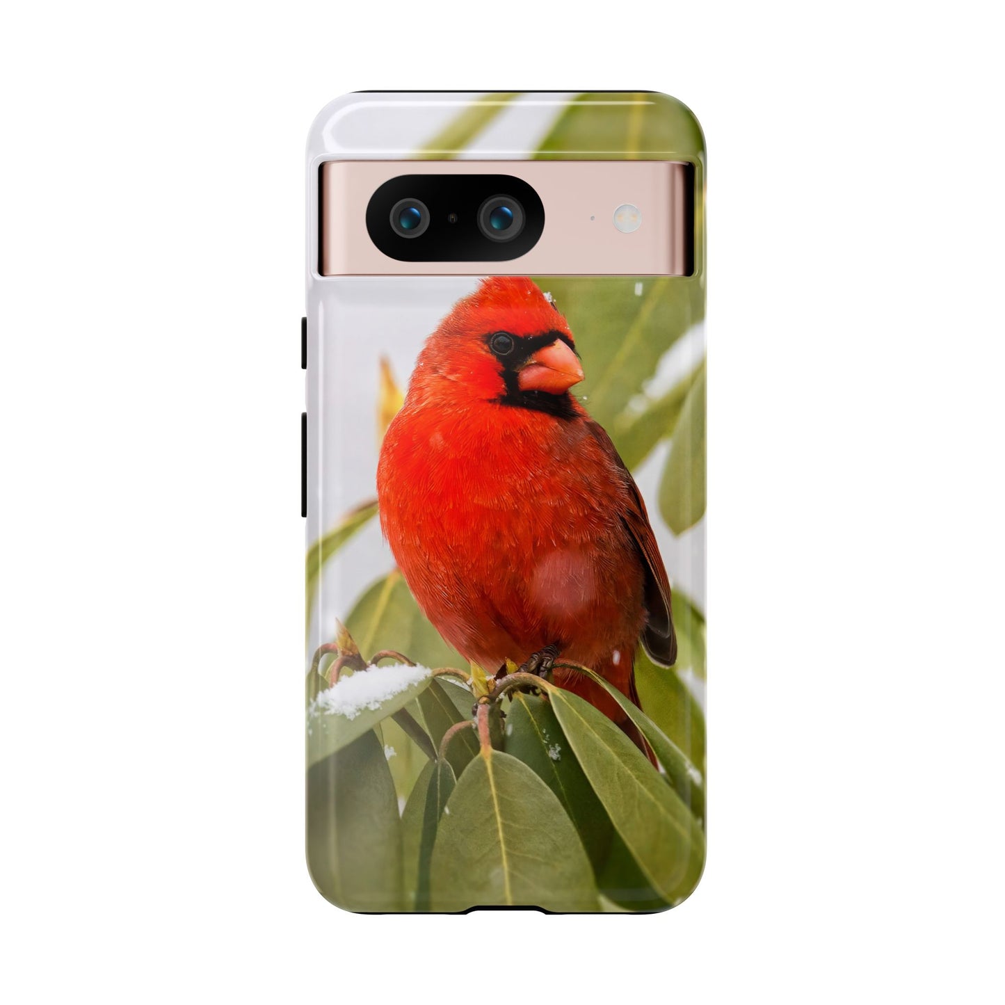 Male Cardinal - Tough Phone Case