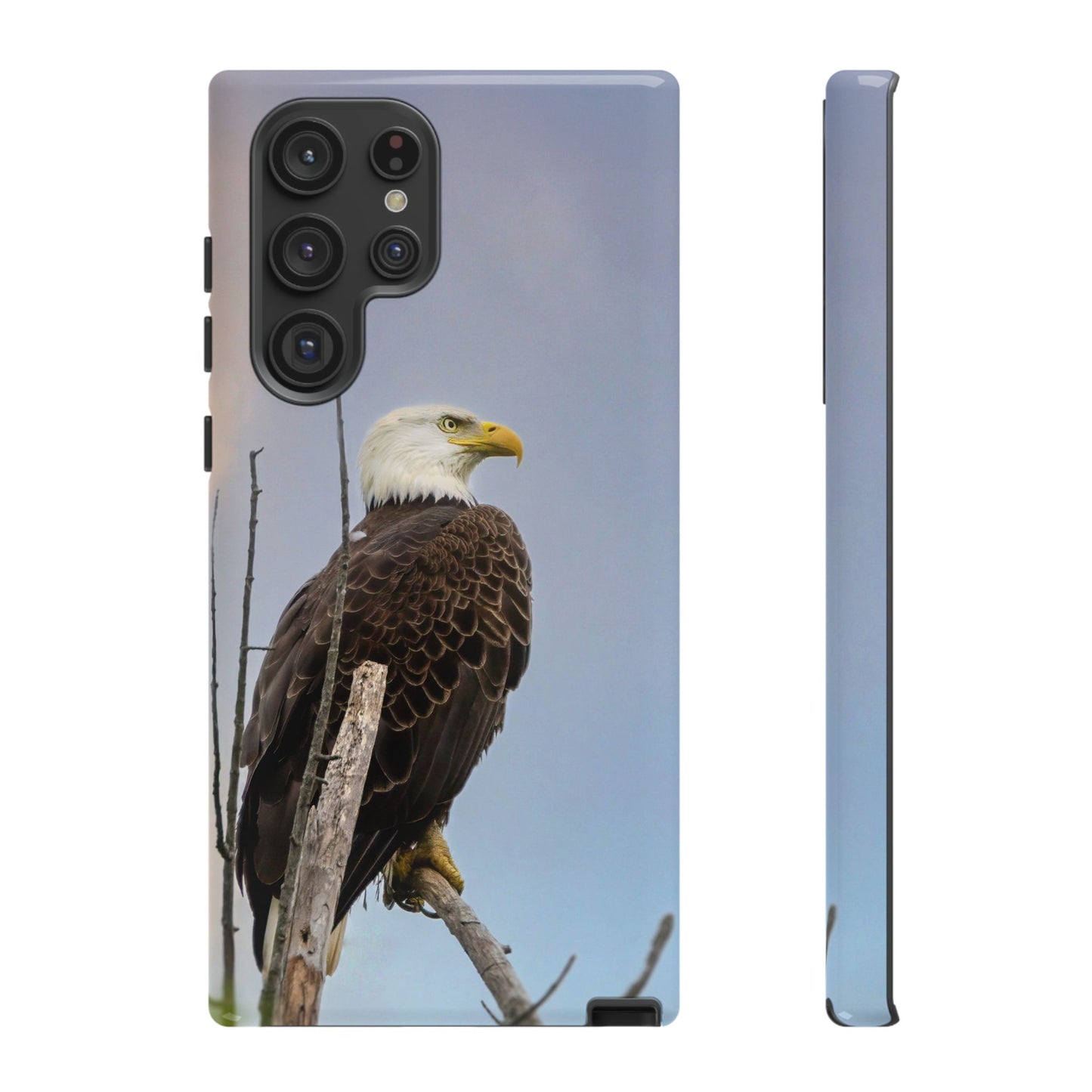 American Bald Eagle - Tough Phone Case