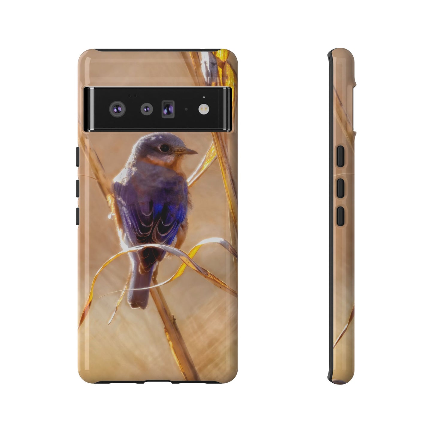 Eastern Bluebird - Tough Phone Case
