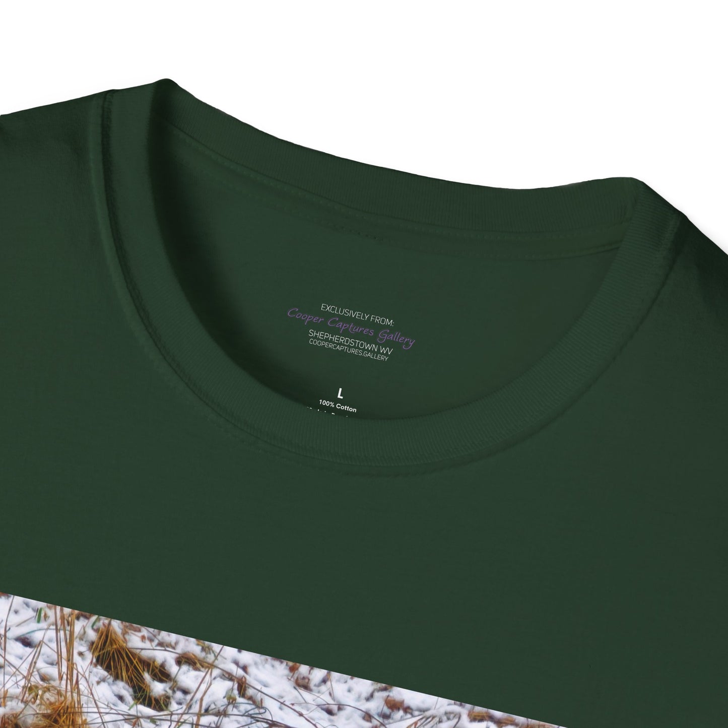 Red Fox in the snow, resting - T-shirt