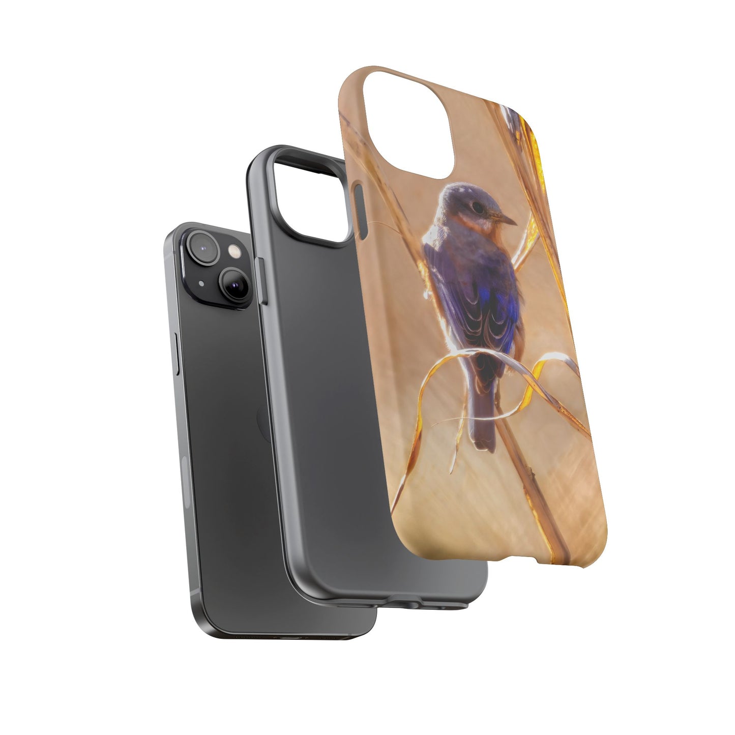 Eastern Bluebird - Tough Phone Case