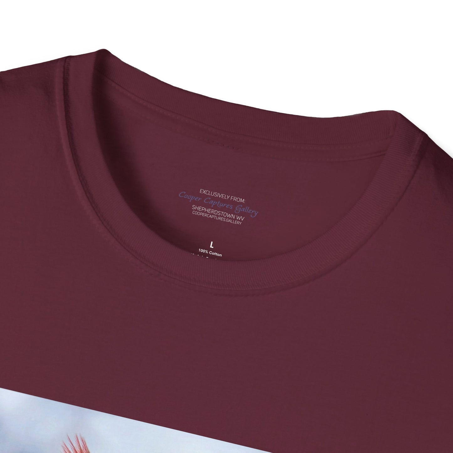 Cardinal Pair's "Snowy Chat" - T-shirt