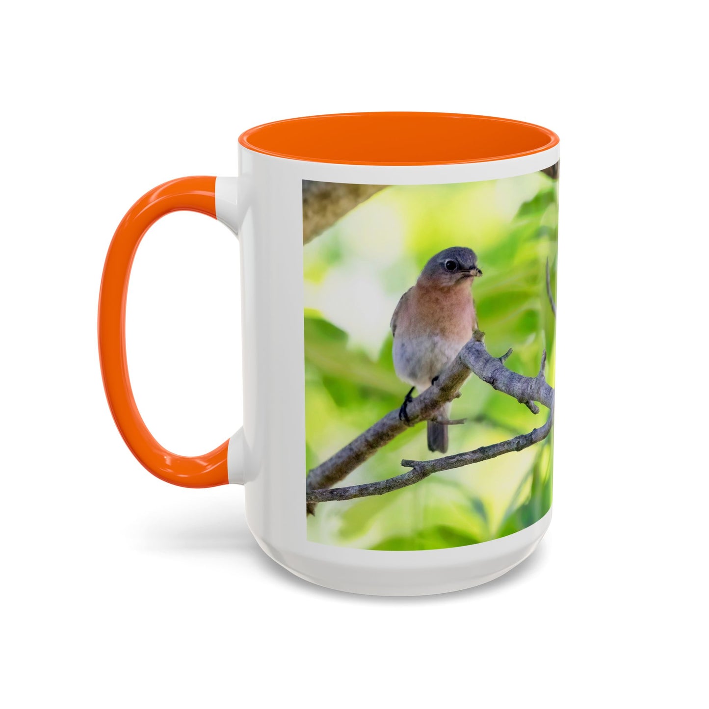 Bluebird pair - Variable color interior mug