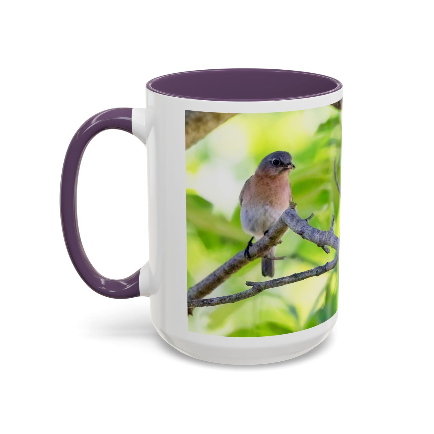 Bluebird pair - Variable color interior mug