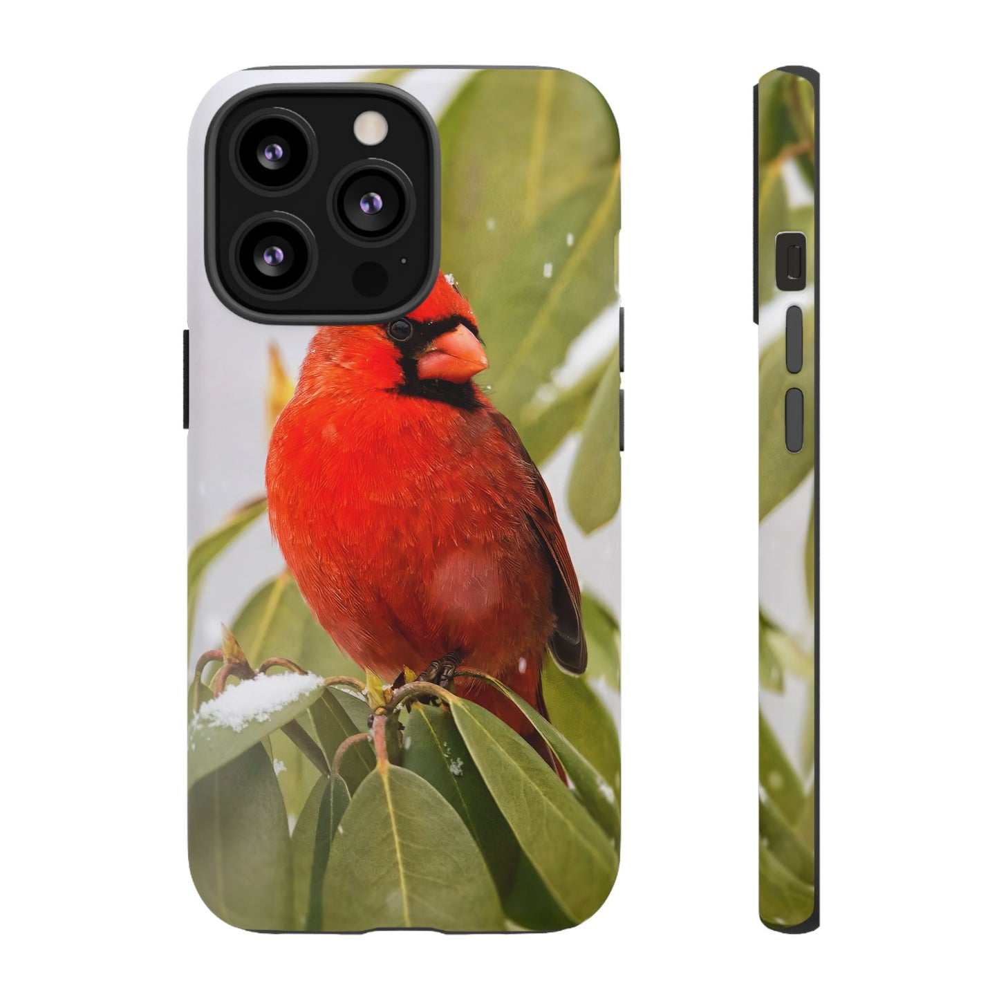Male Cardinal - Tough Phone Case
