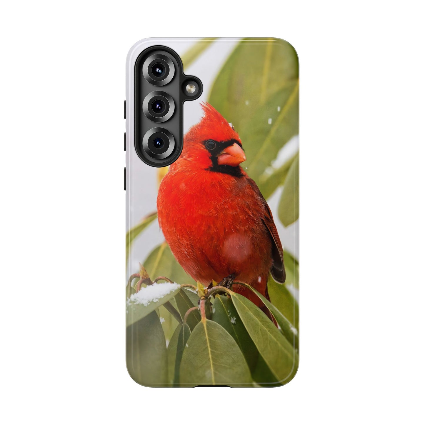 Male Cardinal - Tough Phone Case