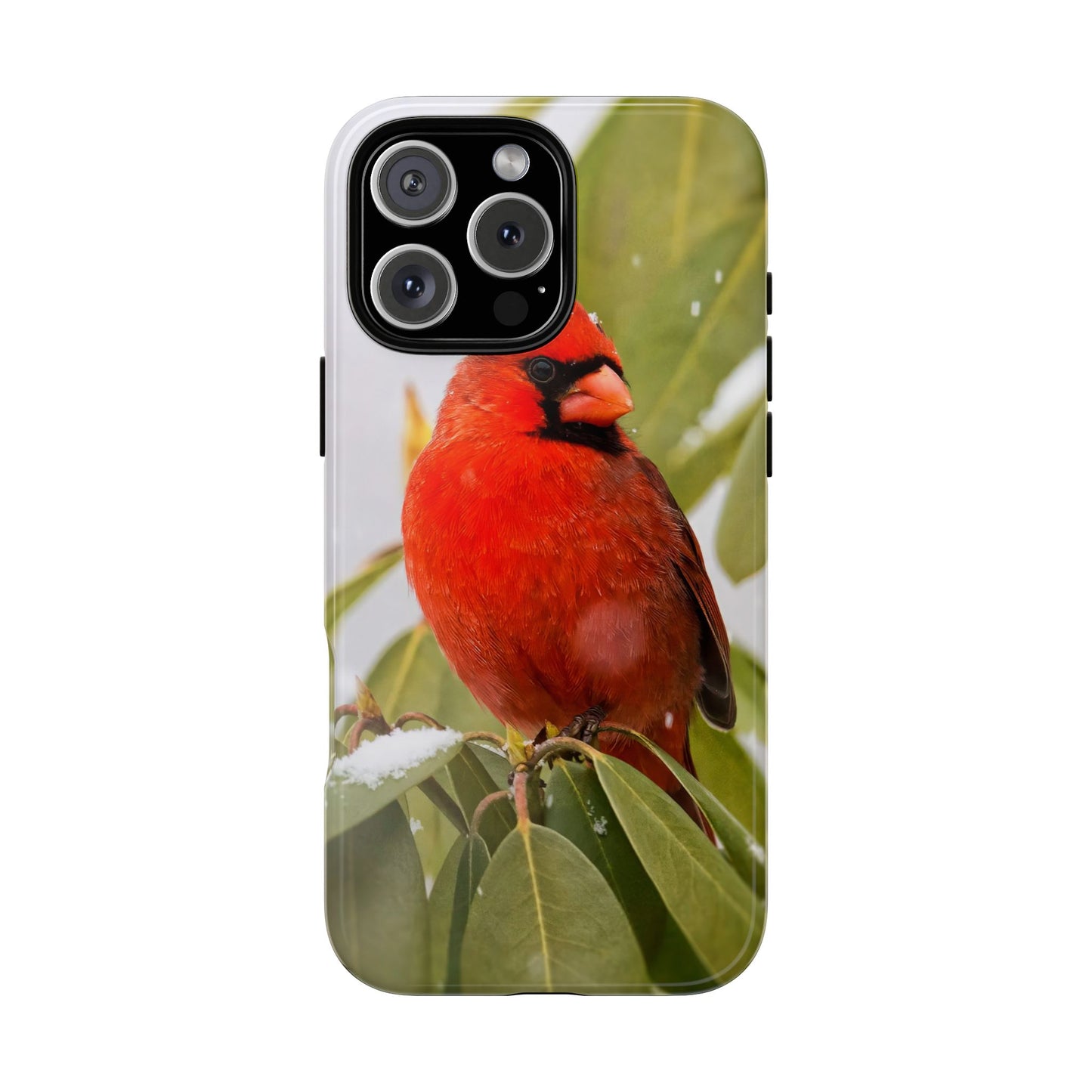 Male Cardinal - Tough Phone Case