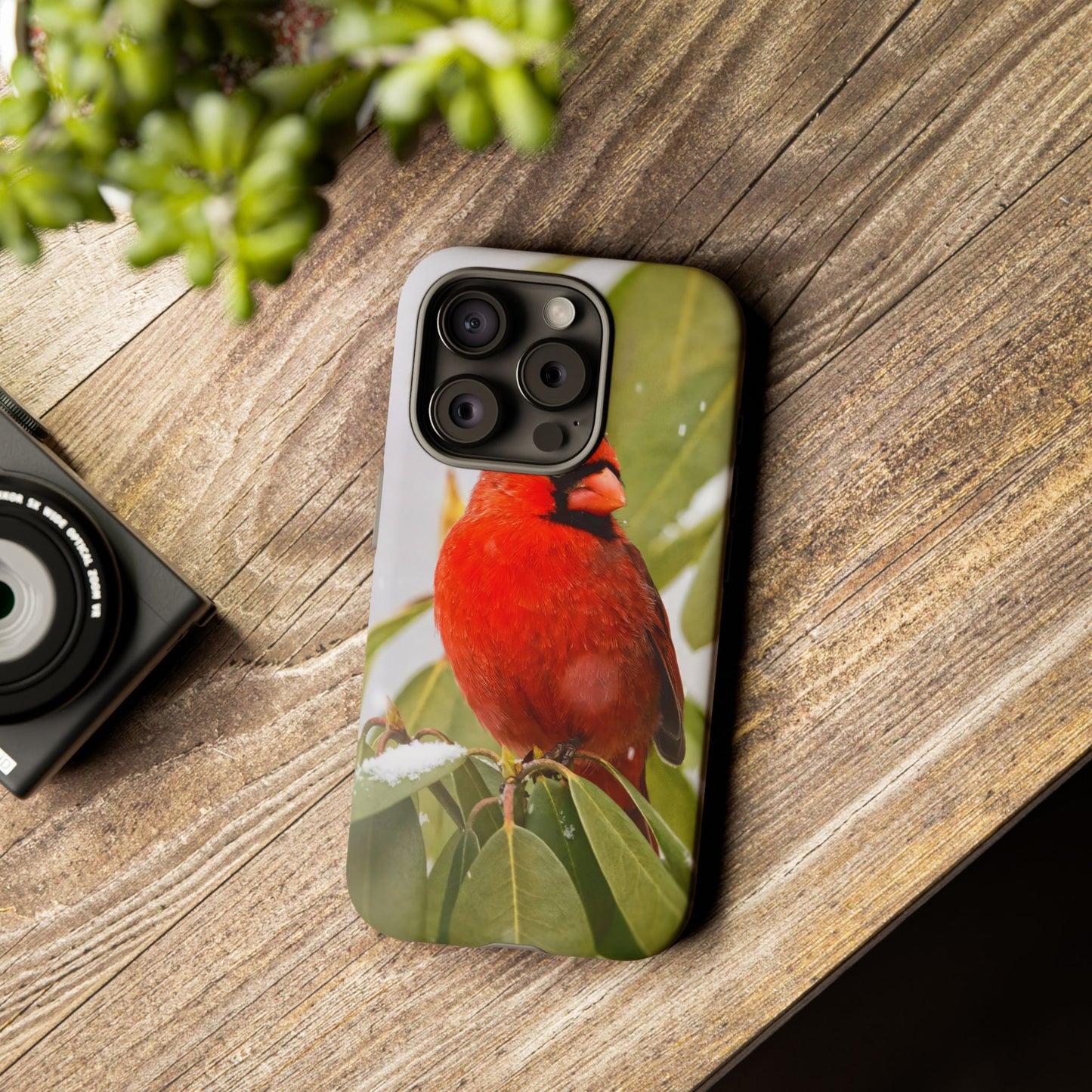 Male Cardinal - Tough Phone Case