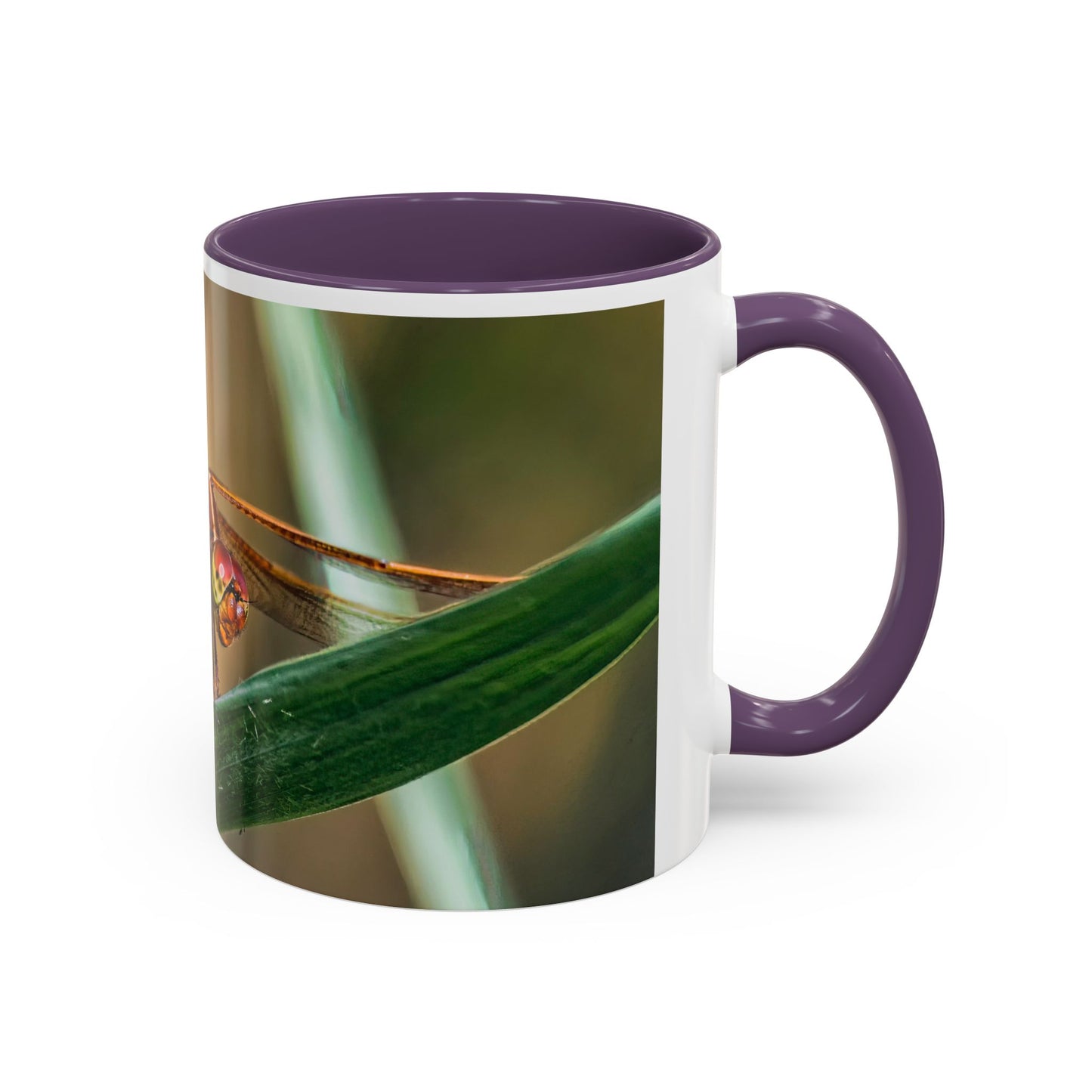 Dragonfly - Variable interior color mug