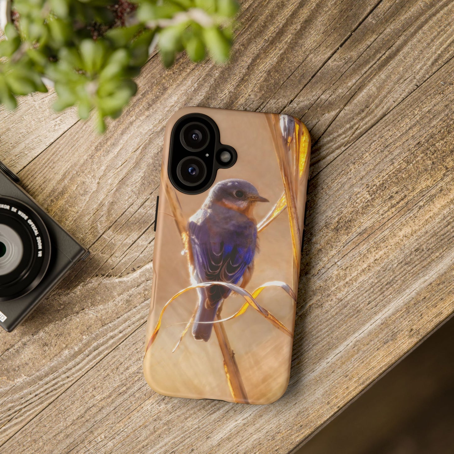 Eastern Bluebird - Tough Phone Case