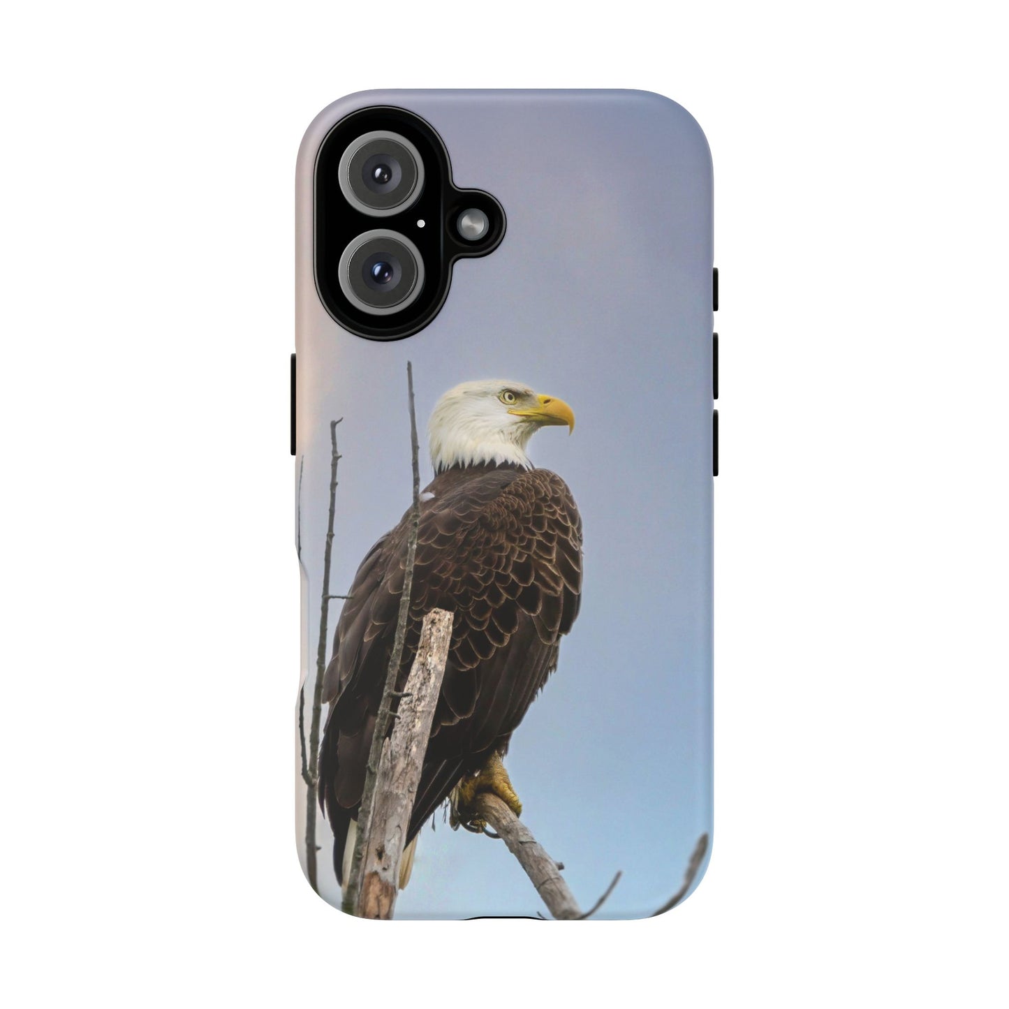 American Bald Eagle - Tough Phone Case