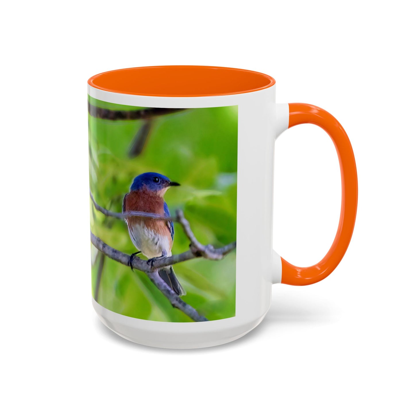 Bluebird pair - Variable color interior mug