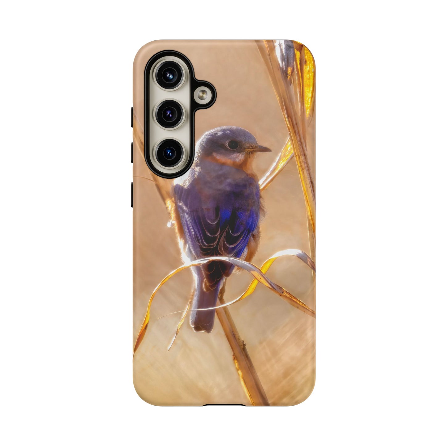 Eastern Bluebird - Tough Phone Case