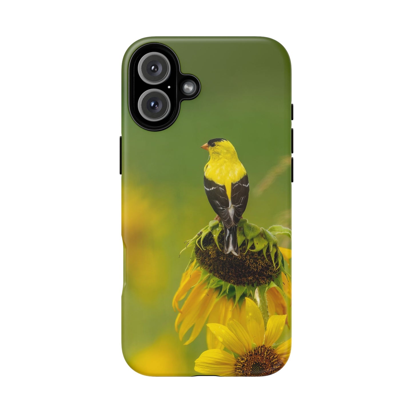 Goldfinch – Tough Phone Case