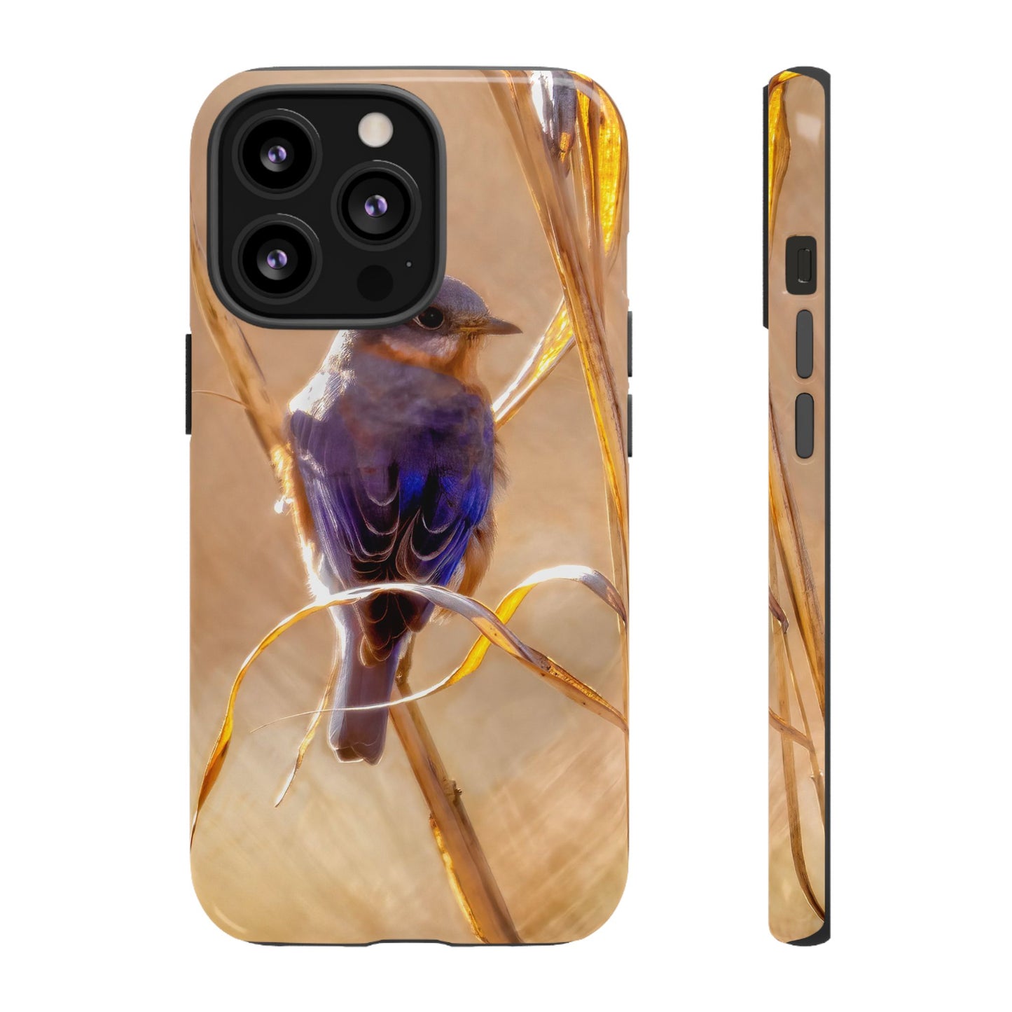 Eastern Bluebird - Tough Phone Case