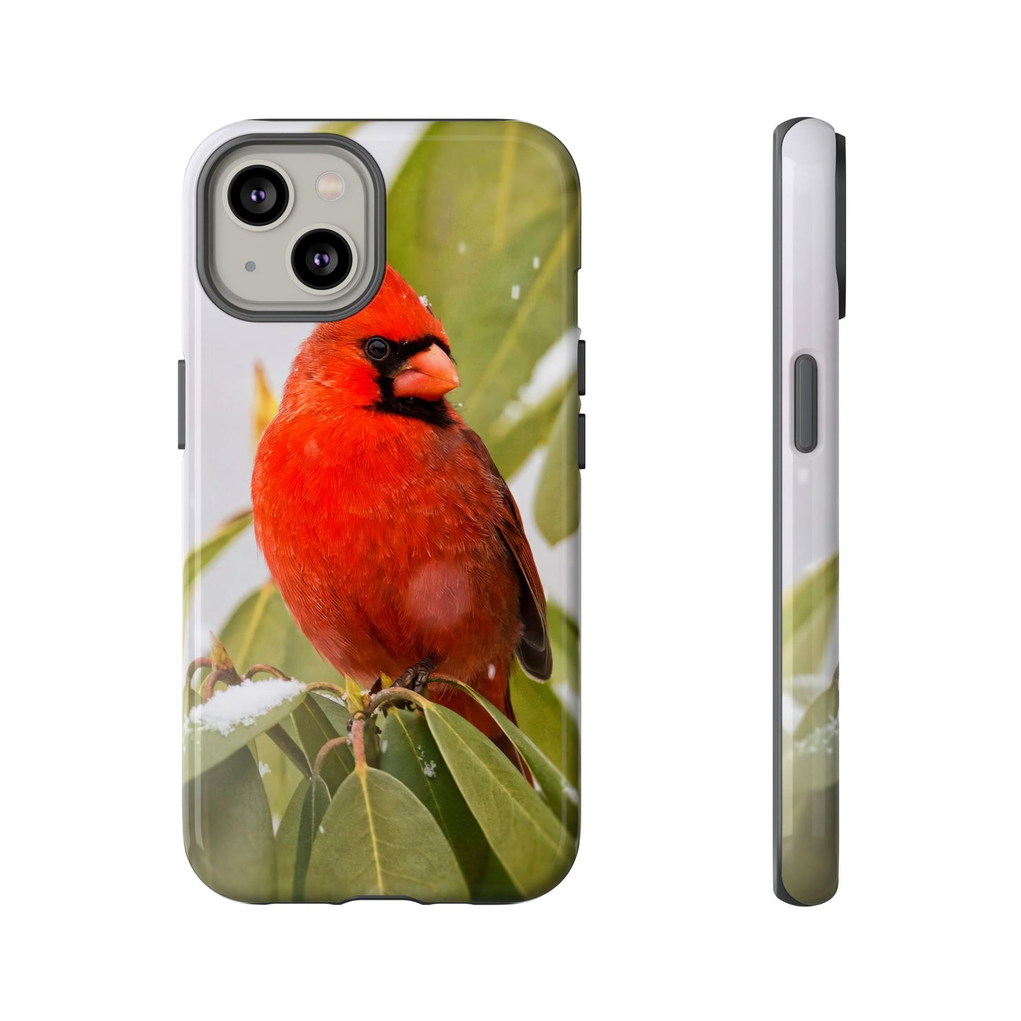 Male Cardinal - Tough Phone Case