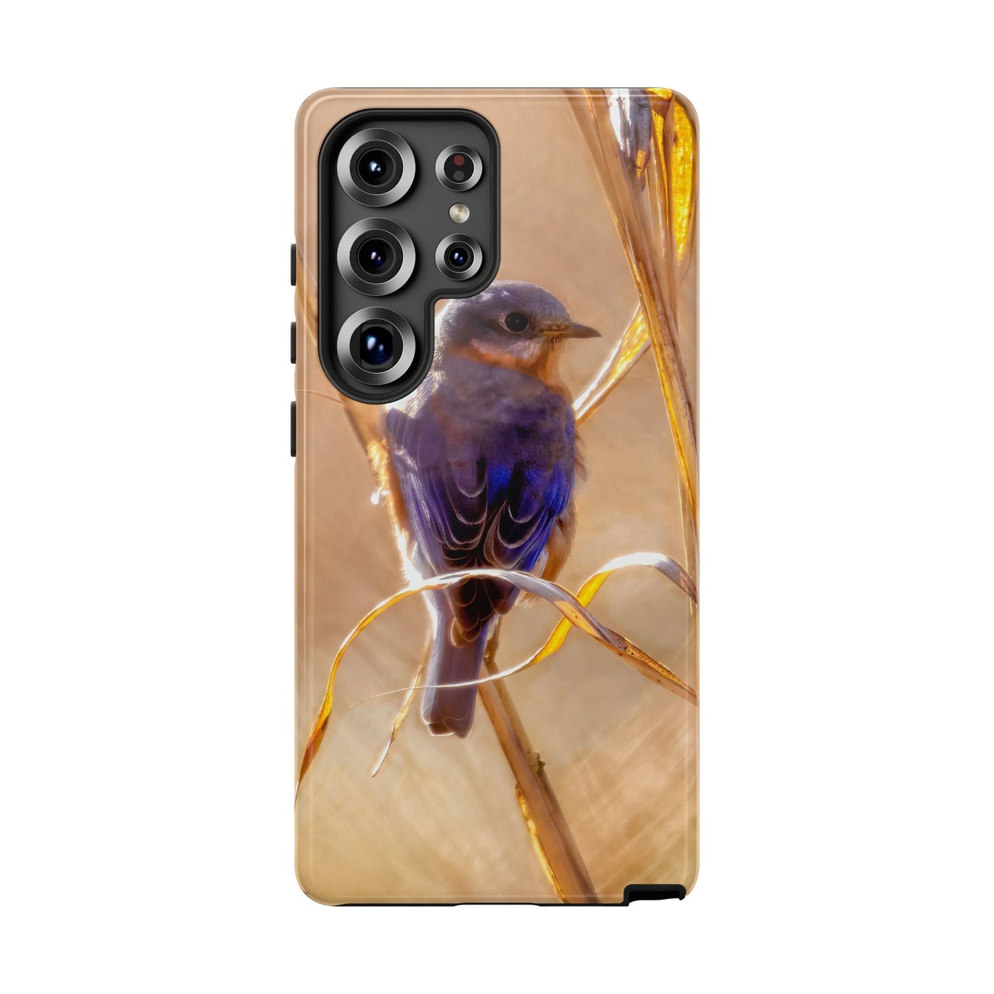 Eastern Bluebird - Tough Phone Case
