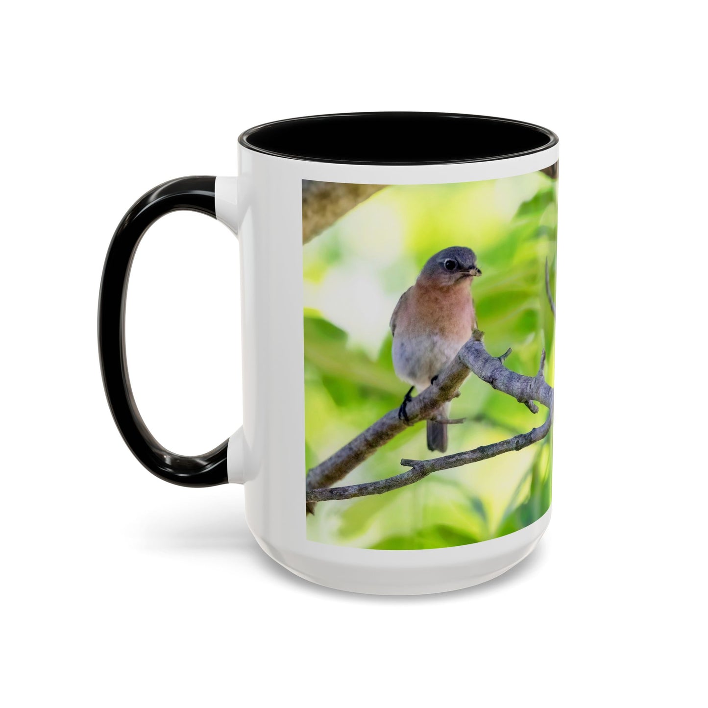 Bluebird pair - Variable color interior mug