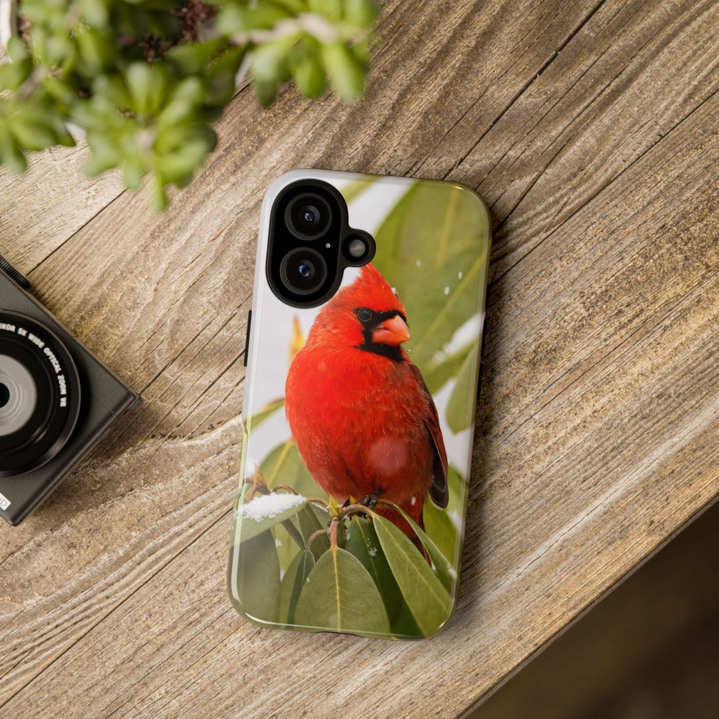 Male Cardinal - Tough Phone Case