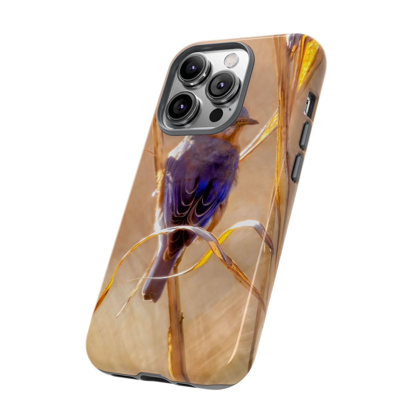 Eastern Bluebird - Tough Phone Case