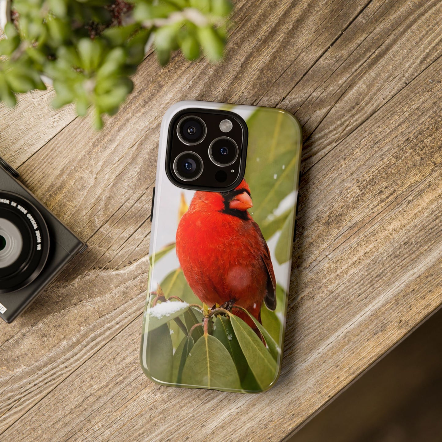 Male Cardinal - Tough Phone Case