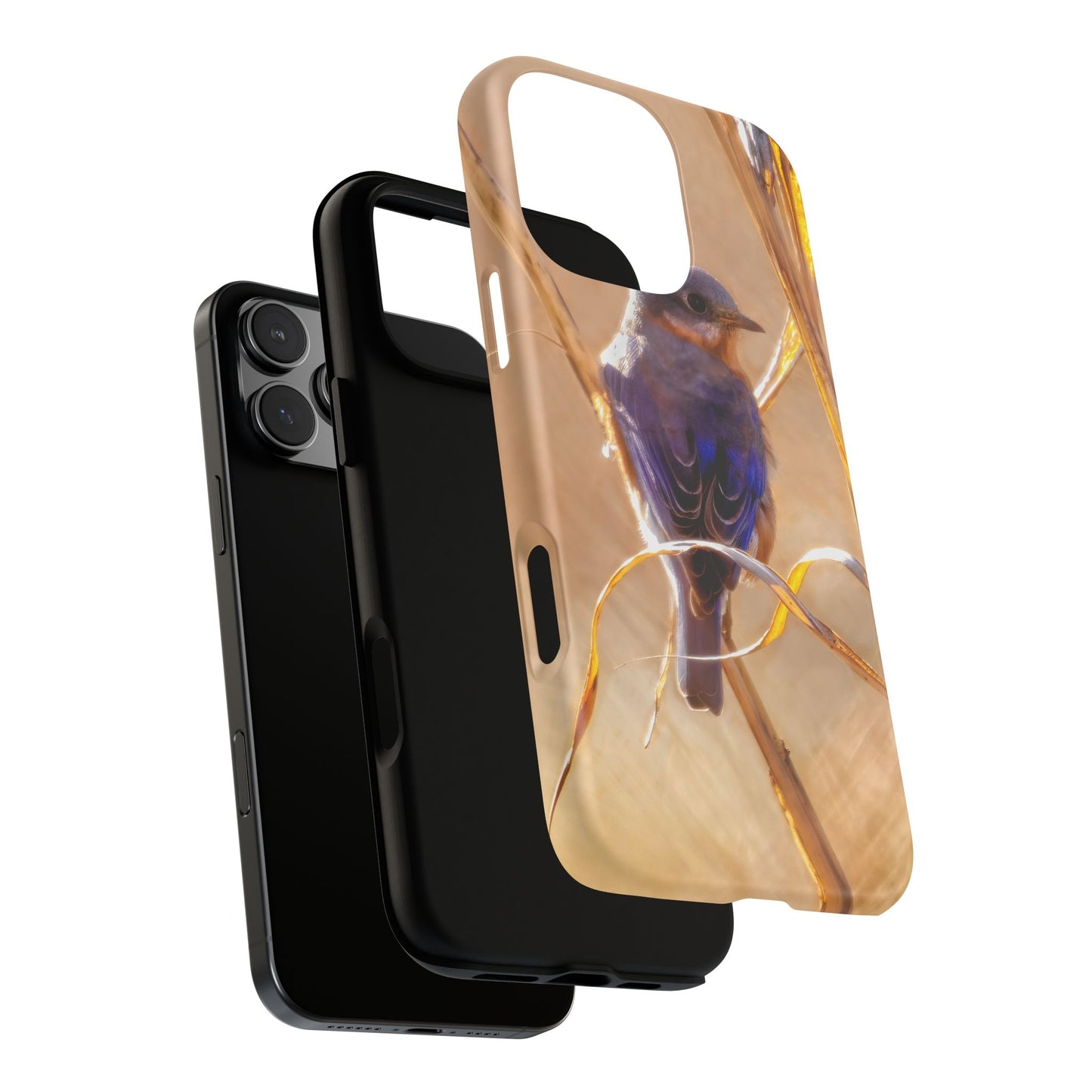 Eastern Bluebird - Tough Phone Case
