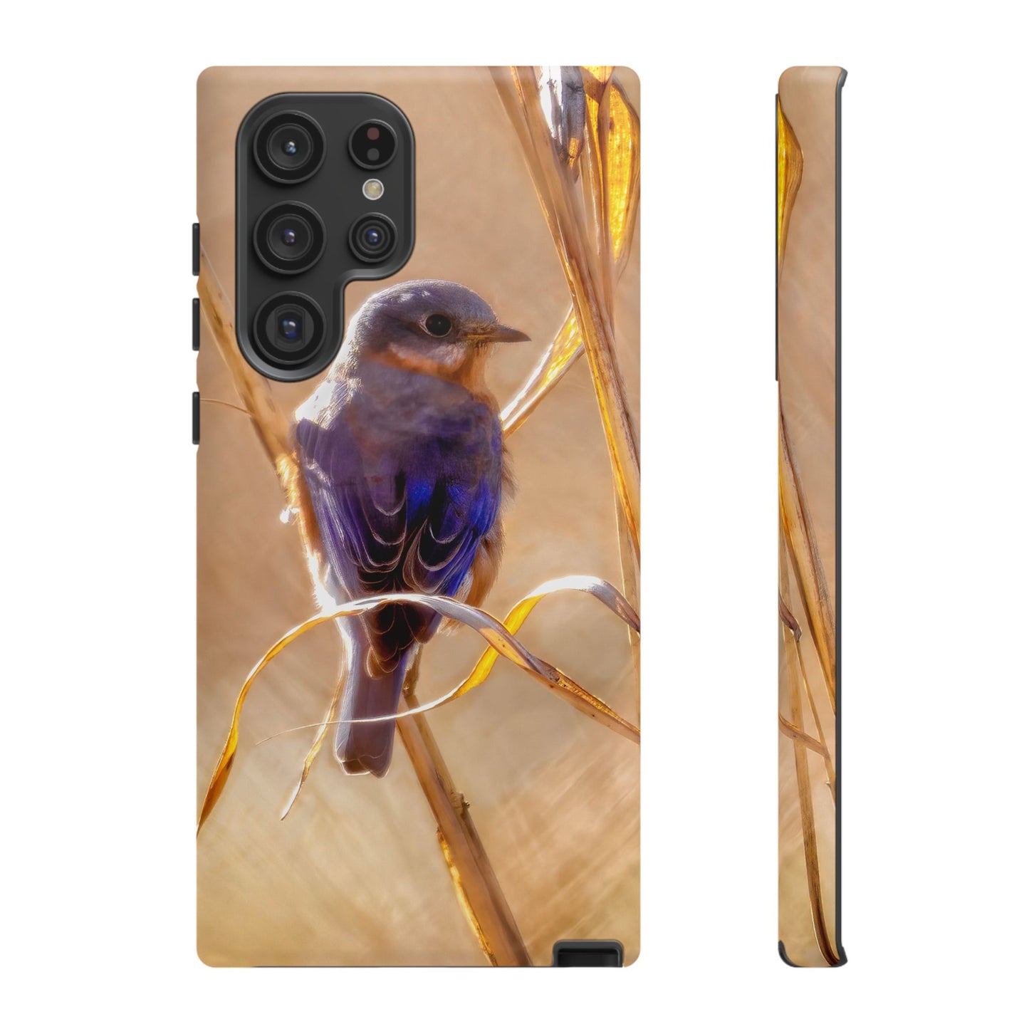 Eastern Bluebird - Tough Phone Case
