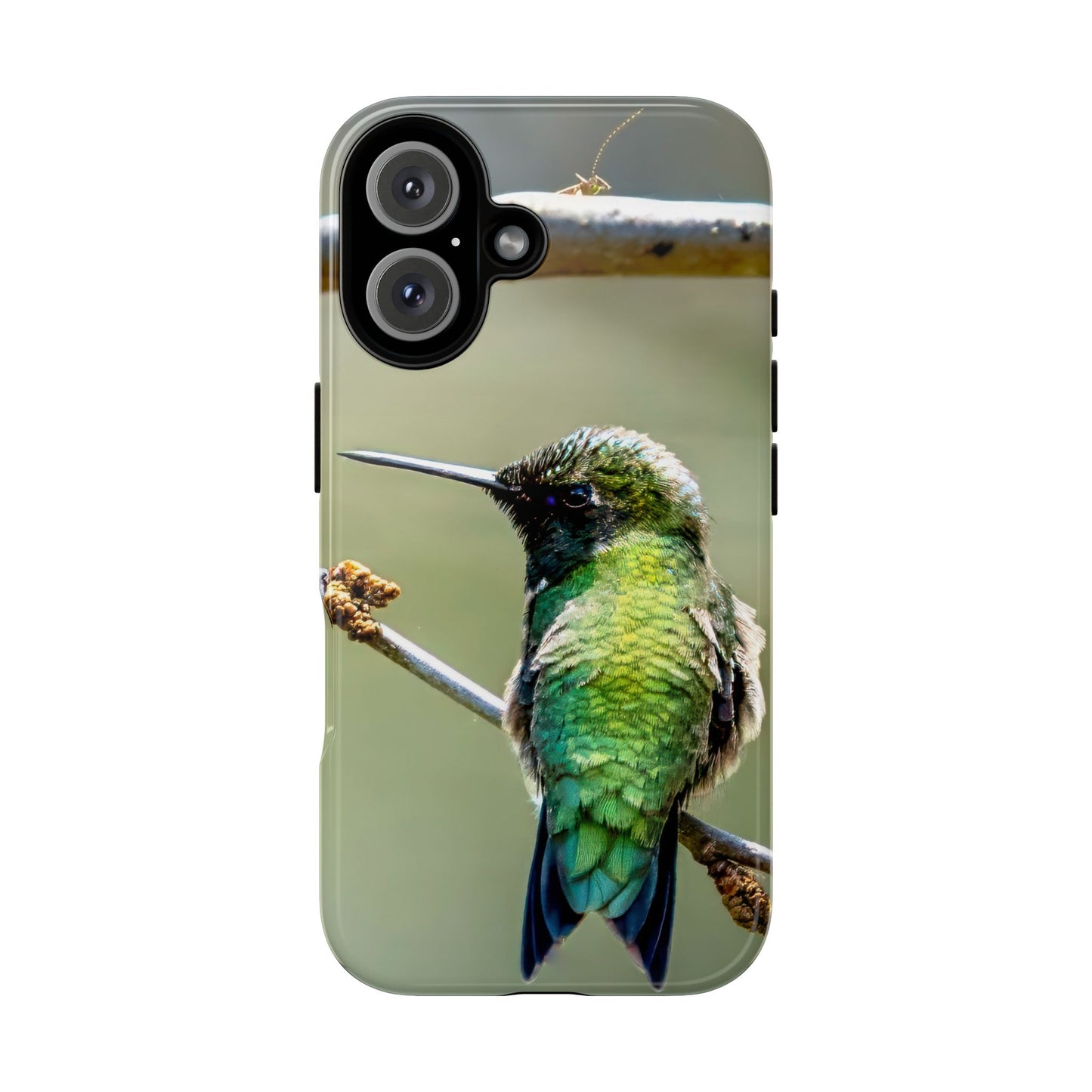 Hummingbird - Tough Phone Case