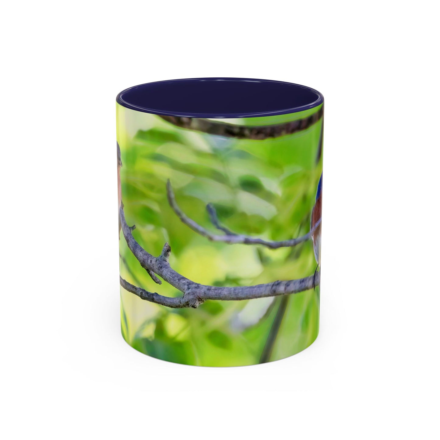 Bluebird pair - Variable color interior mug