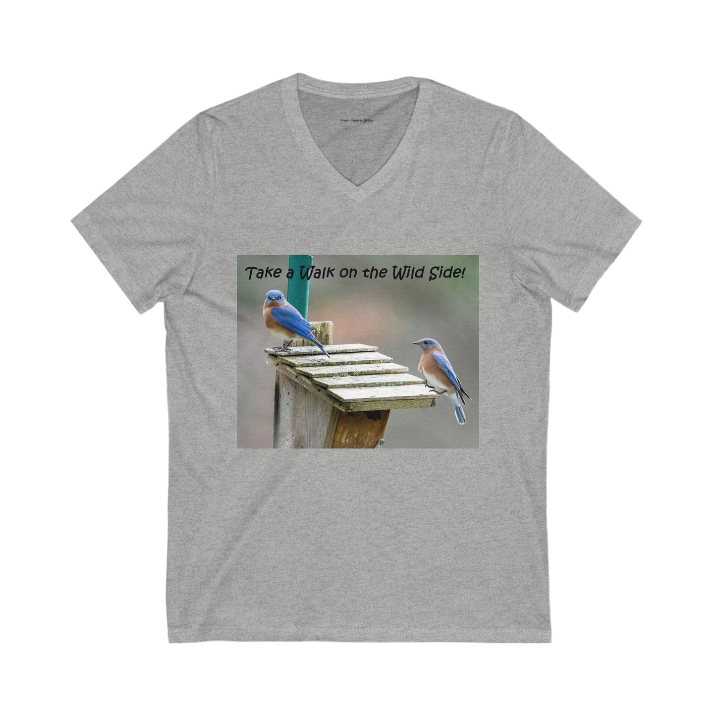 Bluebirds looking at real estate - V-Neck Tee-shirt