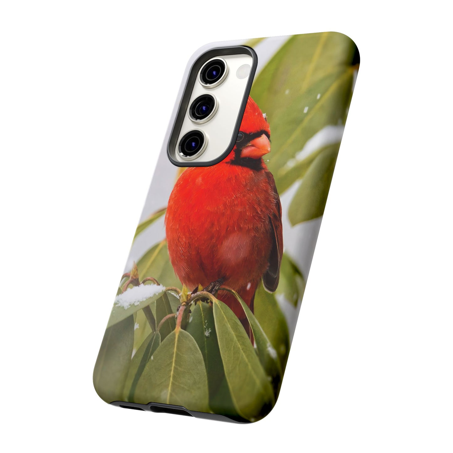 Male Cardinal - Tough Phone Case