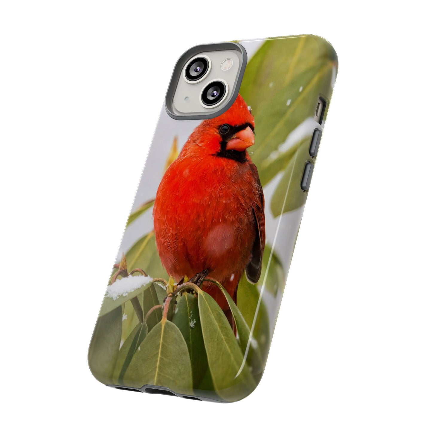 Male Cardinal - Tough Phone Case