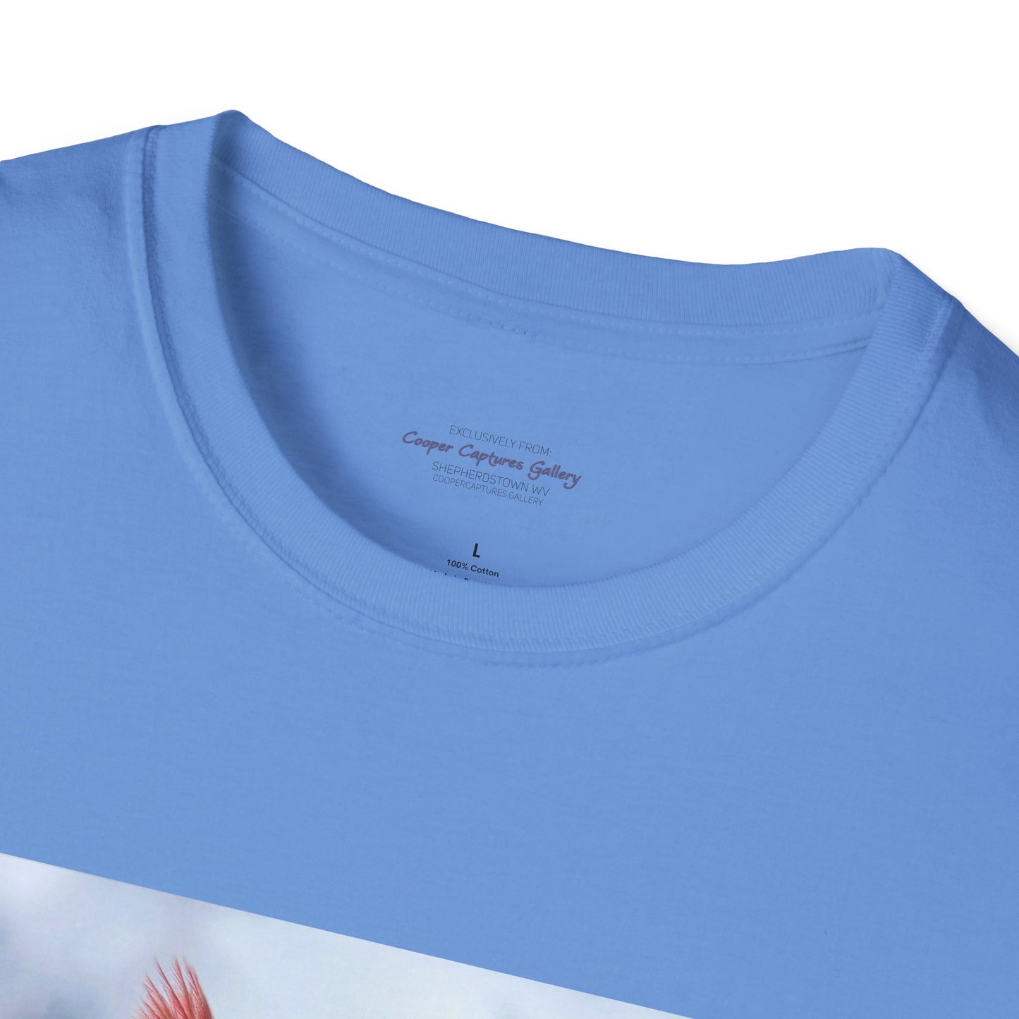 Cardinal Pair's "Snowy Chat" - T-shirt
