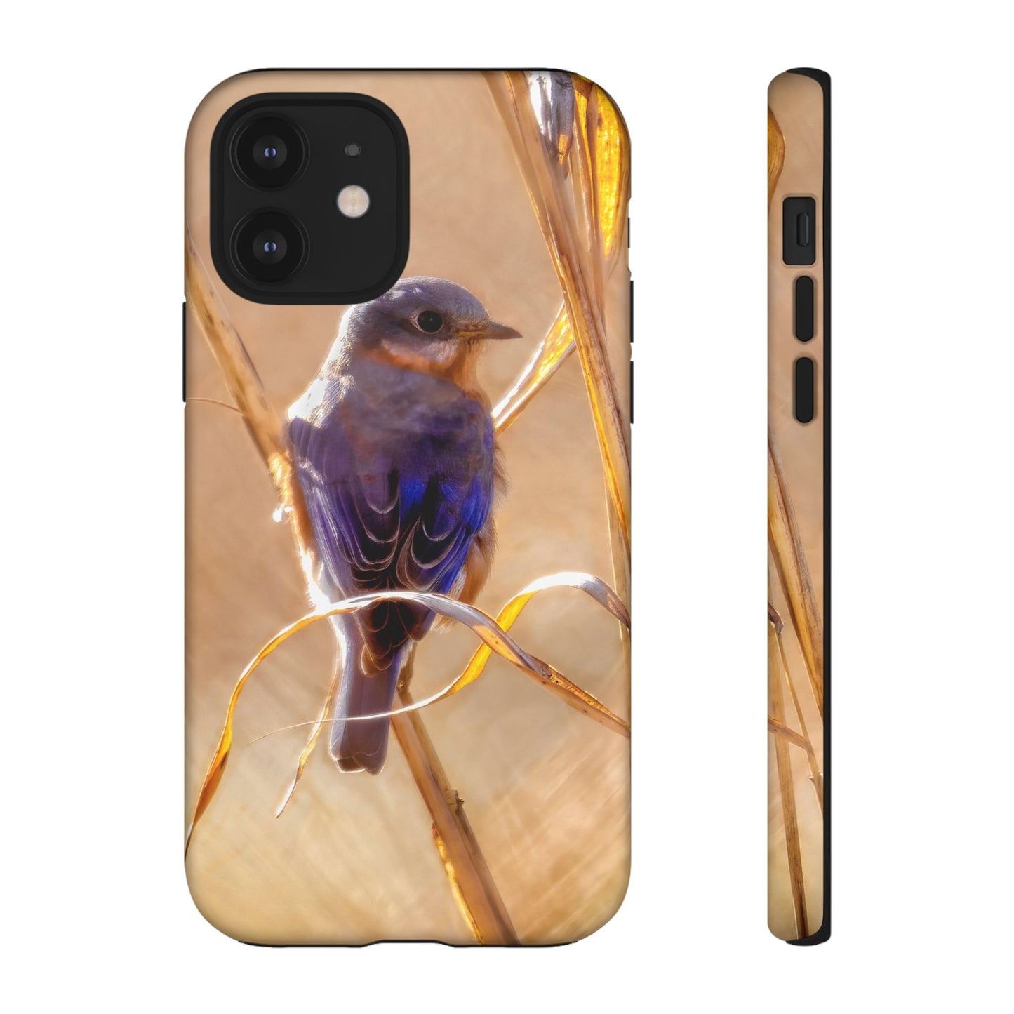 Eastern Bluebird - Tough Phone Case