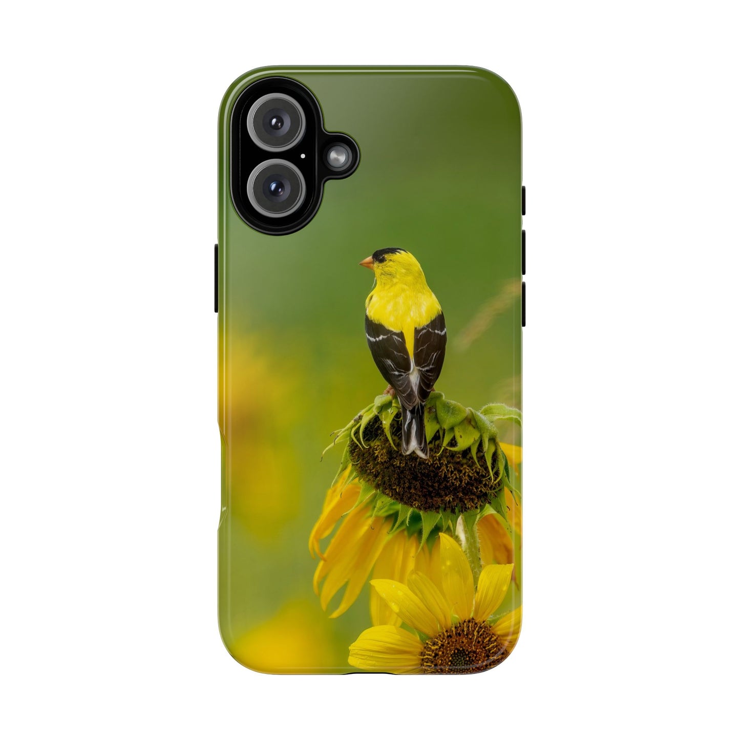 Goldfinch – Tough Phone Case