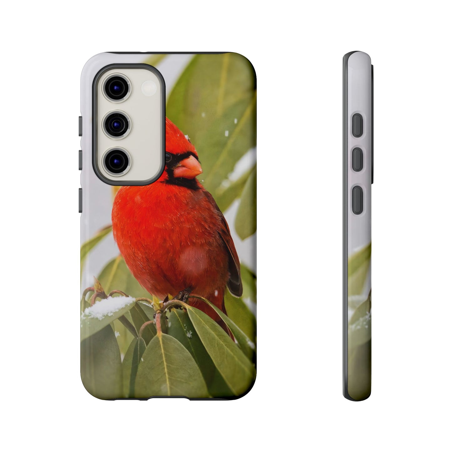Male Cardinal - Tough Phone Case