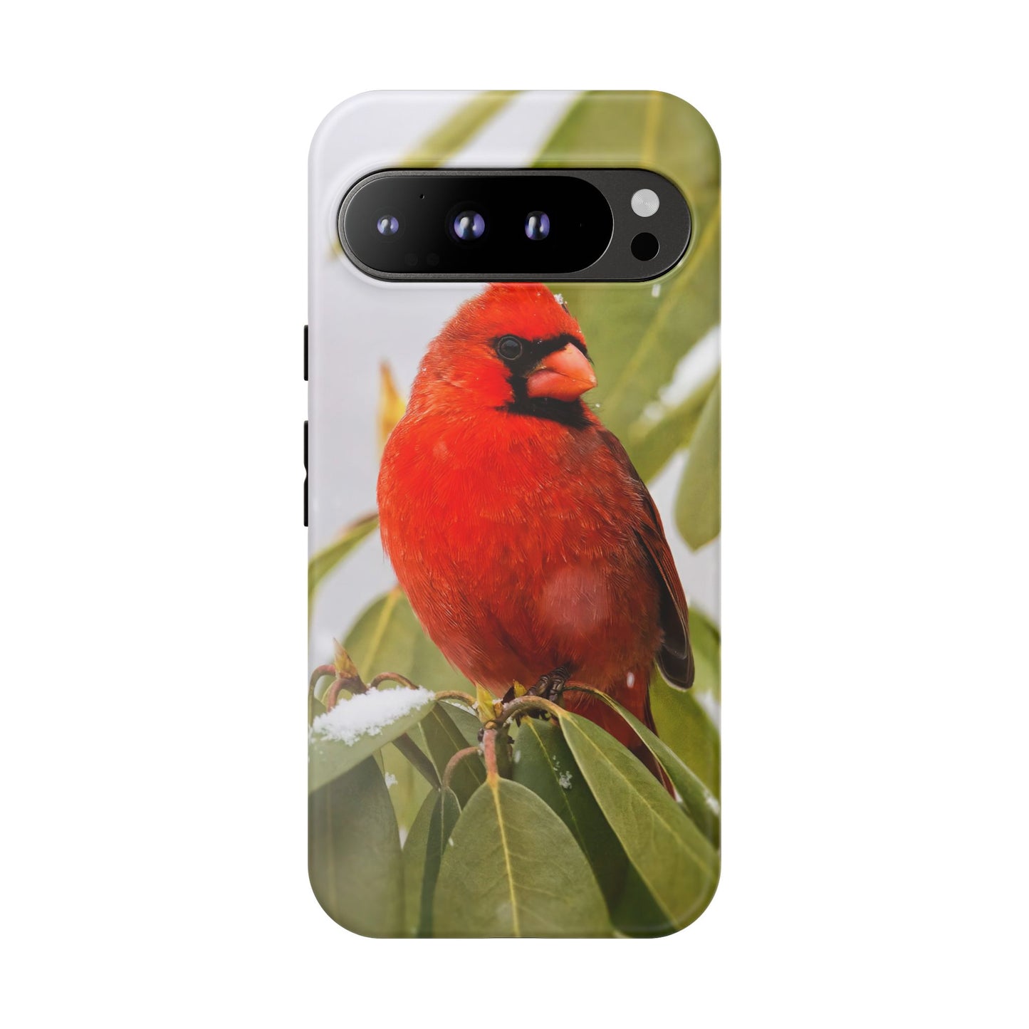 Male Cardinal - Tough Phone Case