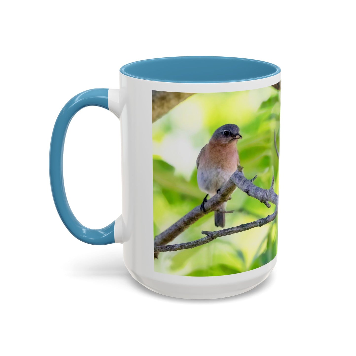 Bluebird pair - Variable color interior mug